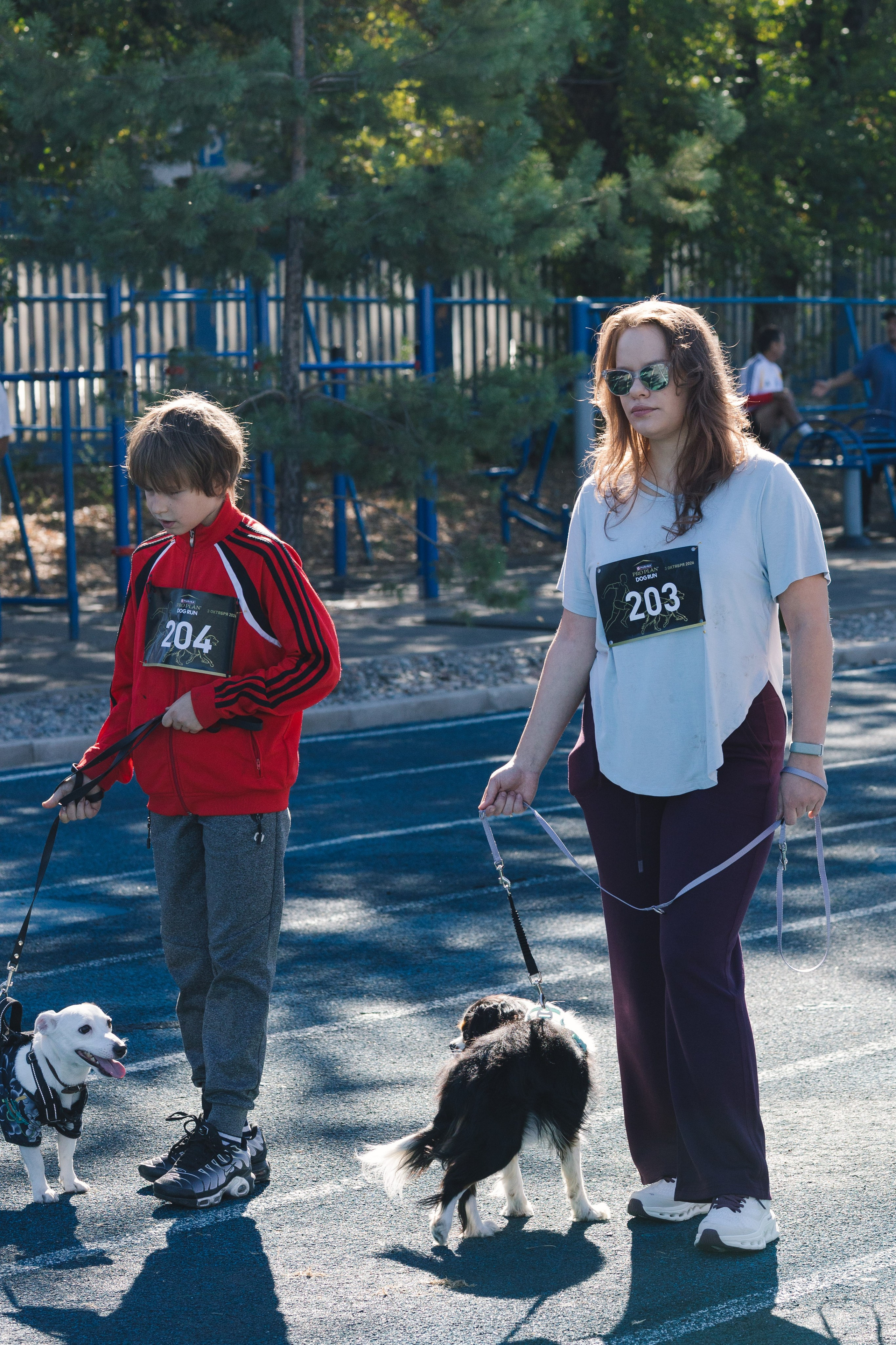 Proplan Dog Run. Коммерческий фотограф в Алматы Марина Милис. Съёмка для брендов, компаний и проектов
