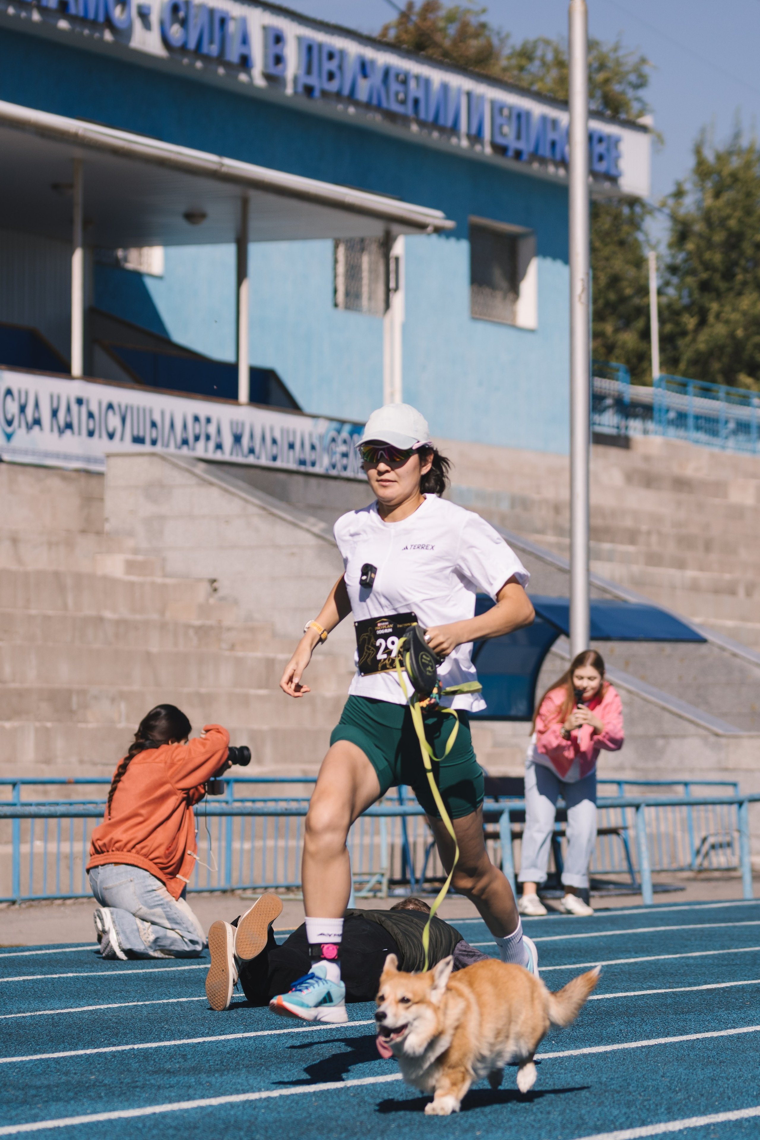 Proplan Dog Run. Коммерческий фотограф в Алматы Марина Милис. Съёмка для брендов, компаний и проектов