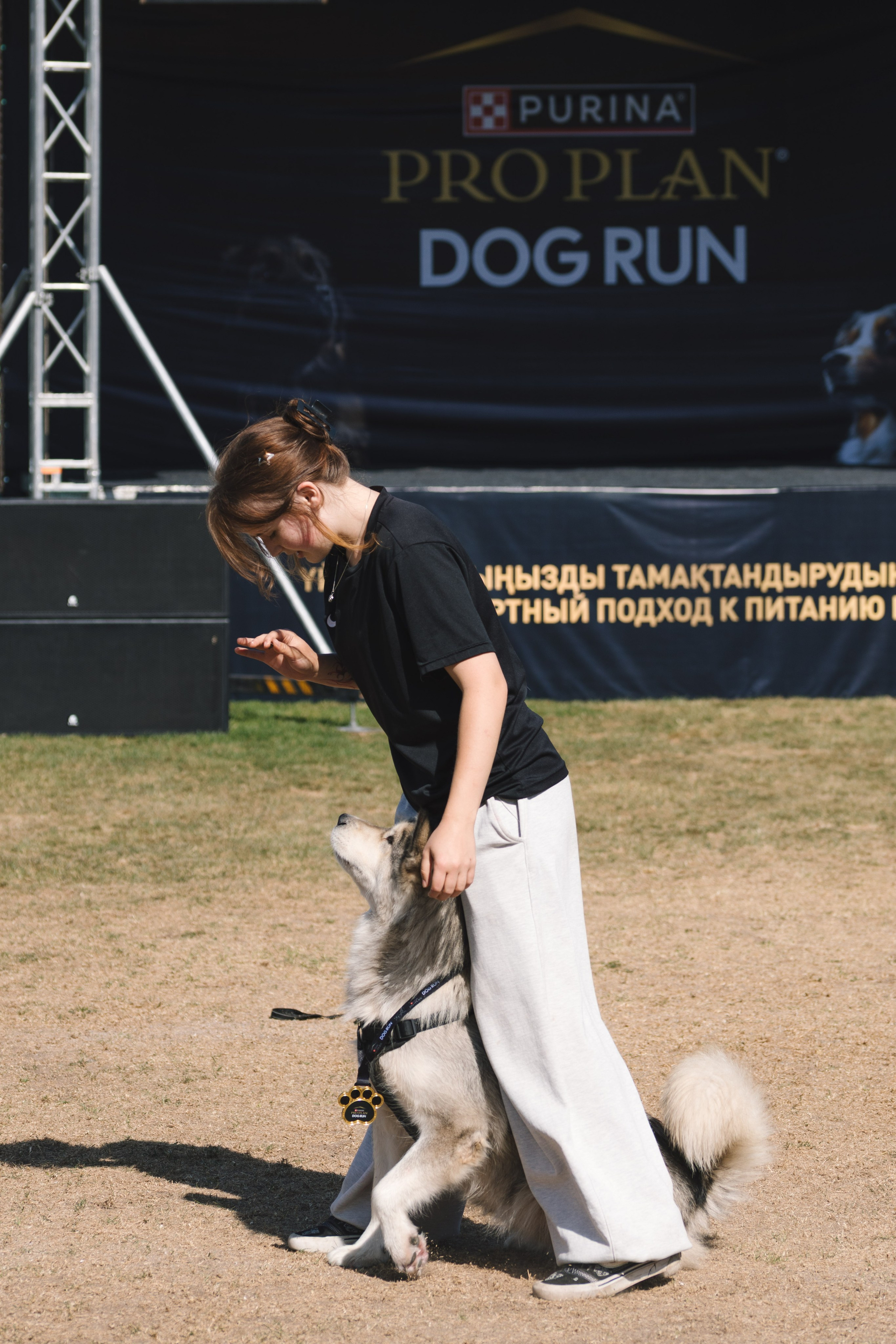 Proplan Dog Run. Коммерческий фотограф в Алматы Марина Милис. Съёмка для брендов, компаний и проектов