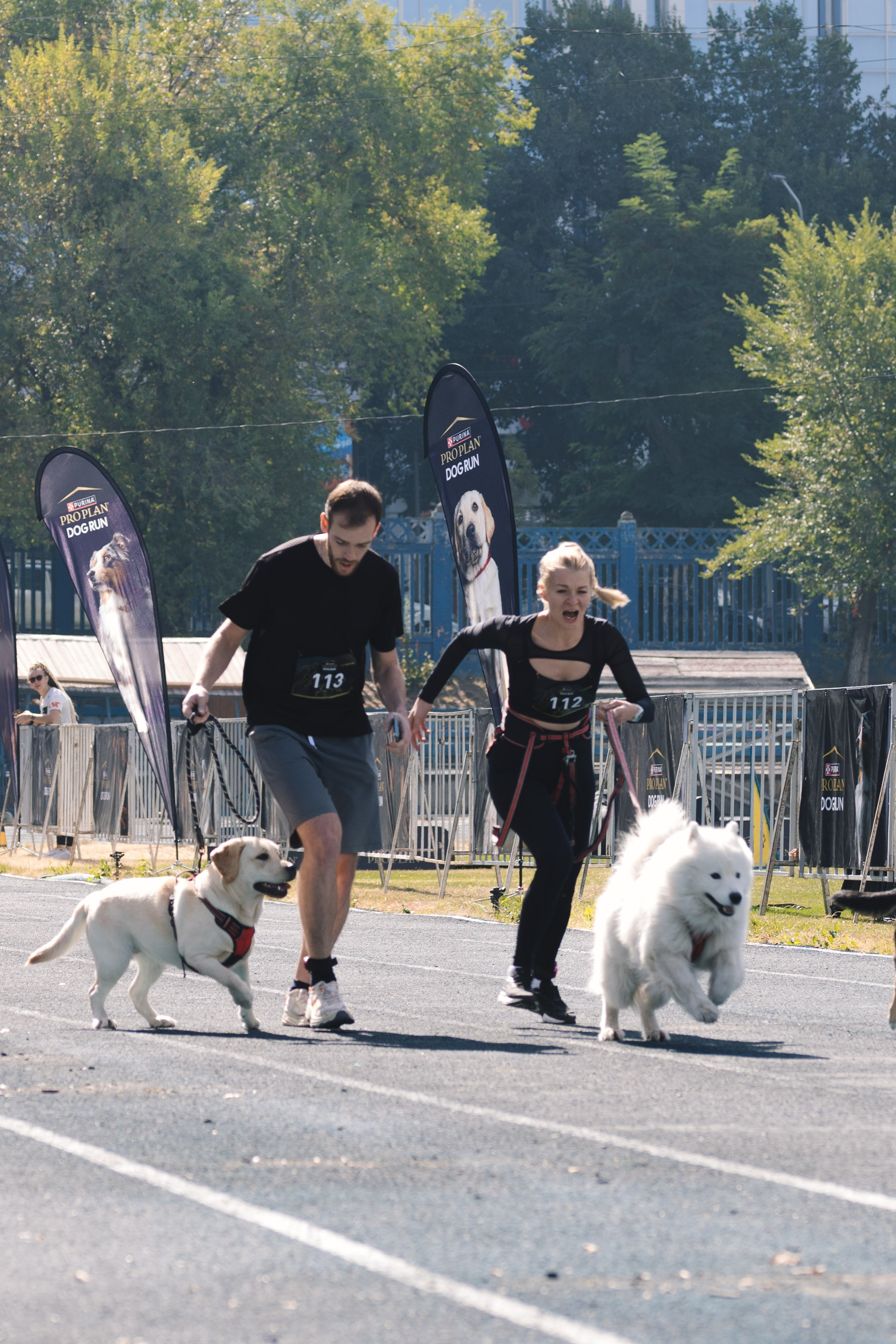 Proplan Dog Run. Коммерческий фотограф в Алматы Марина Милис. Съёмка для брендов, компаний и проектов