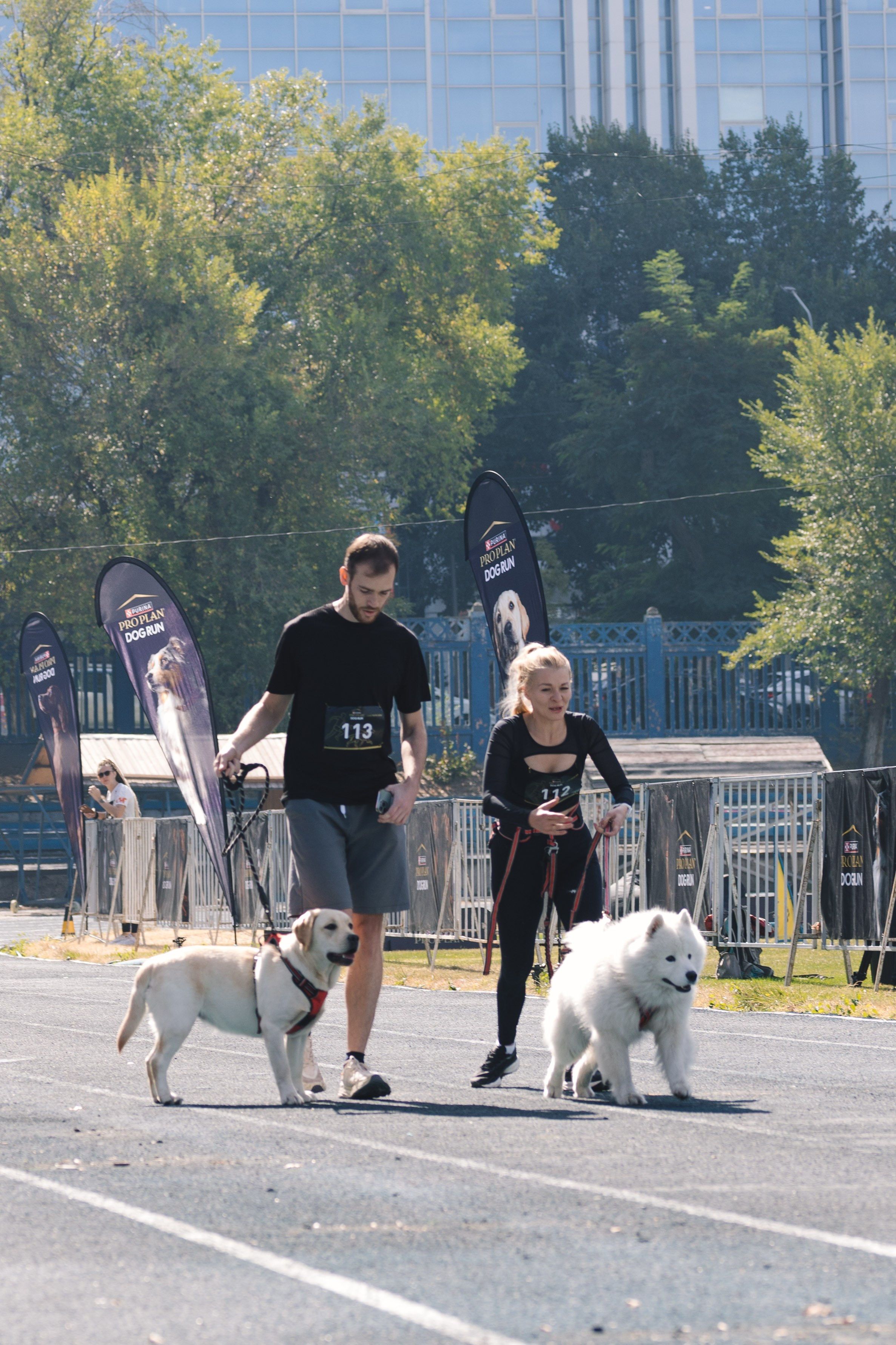 Proplan Dog Run. Коммерческий фотограф в Алматы Марина Милис. Съёмка для брендов, компаний и проектов