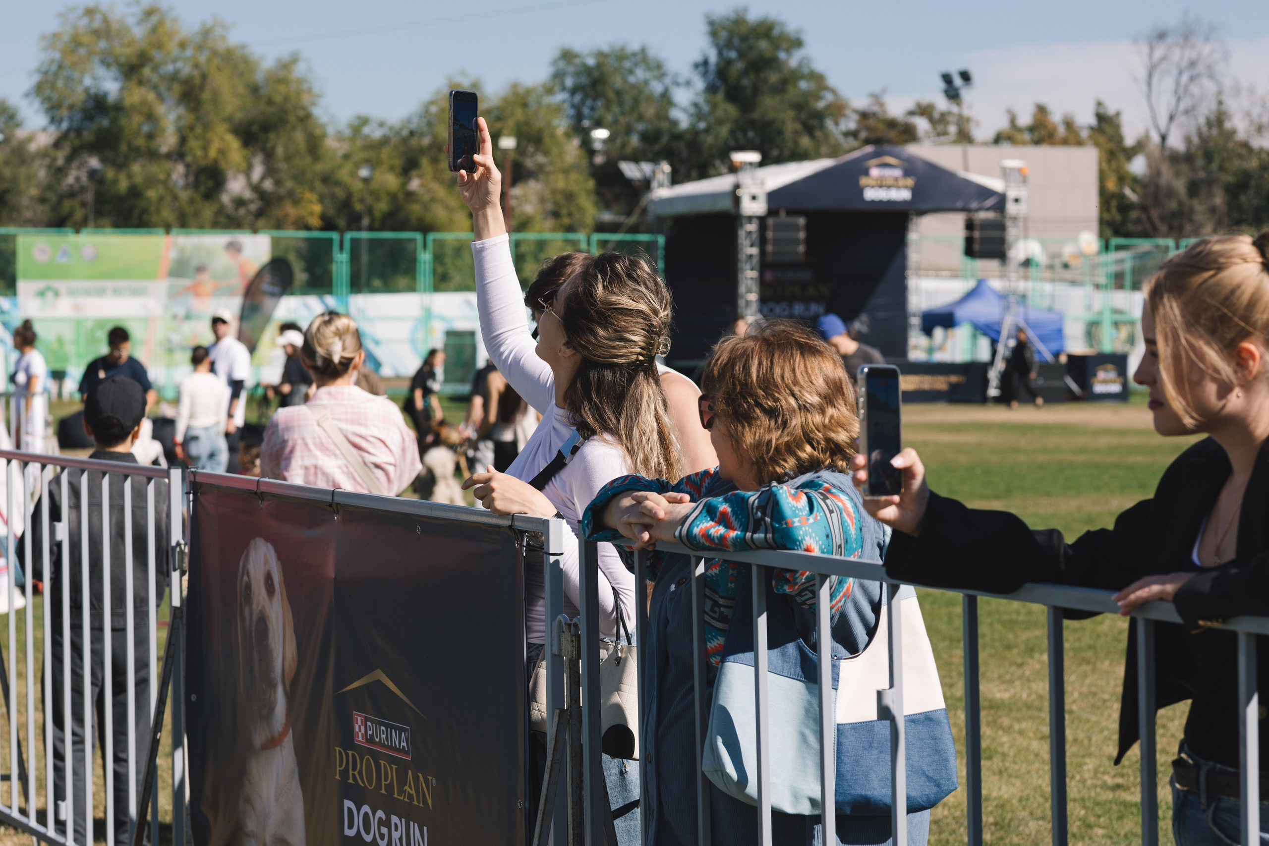 Proplan Dog Run. Коммерческий фотограф в Алматы Марина Милис. Съёмка для брендов, компаний и проектов