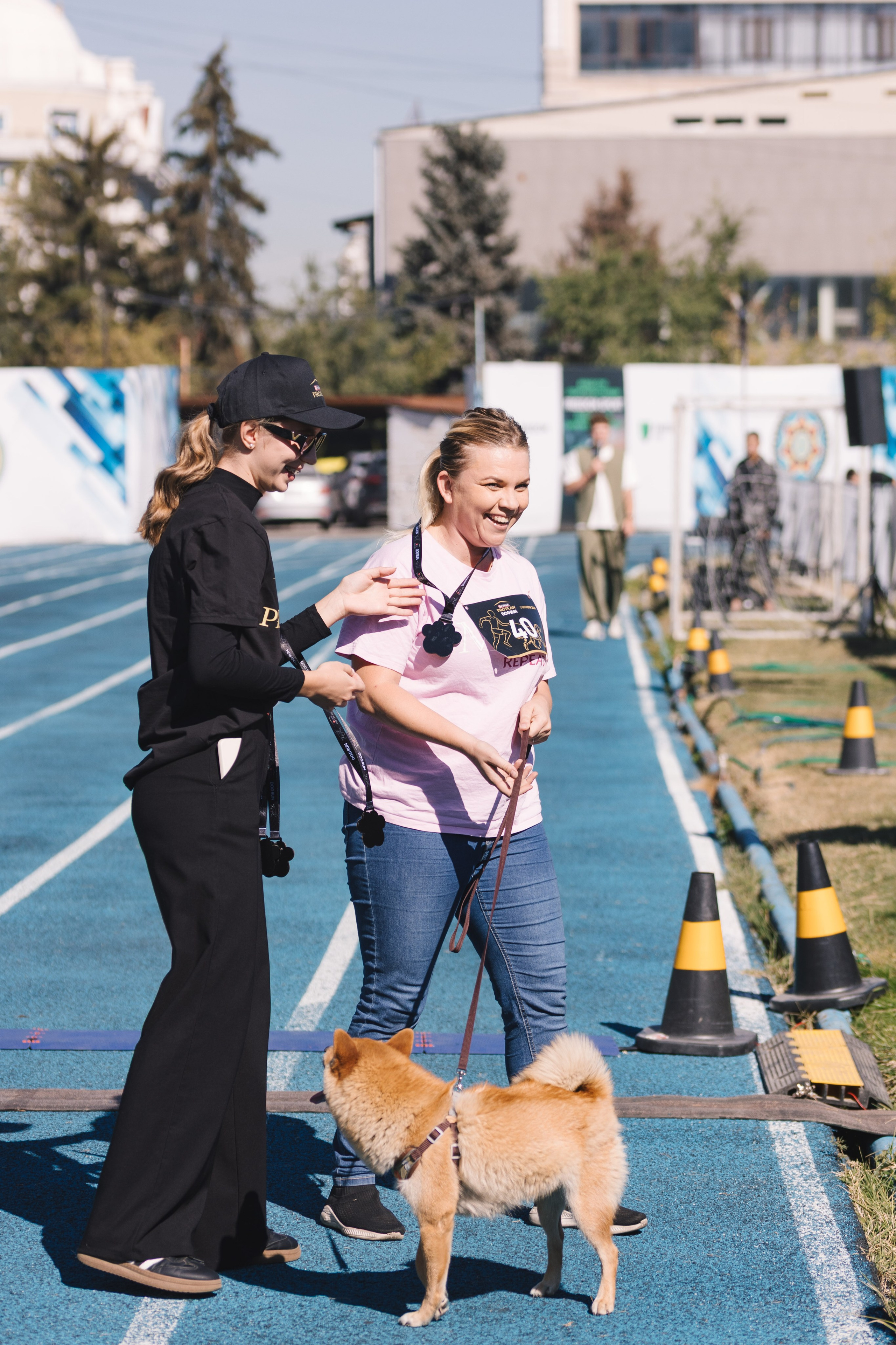 Proplan Dog Run. Коммерческий фотограф в Алматы Марина Милис. Съёмка для брендов, компаний и проектов