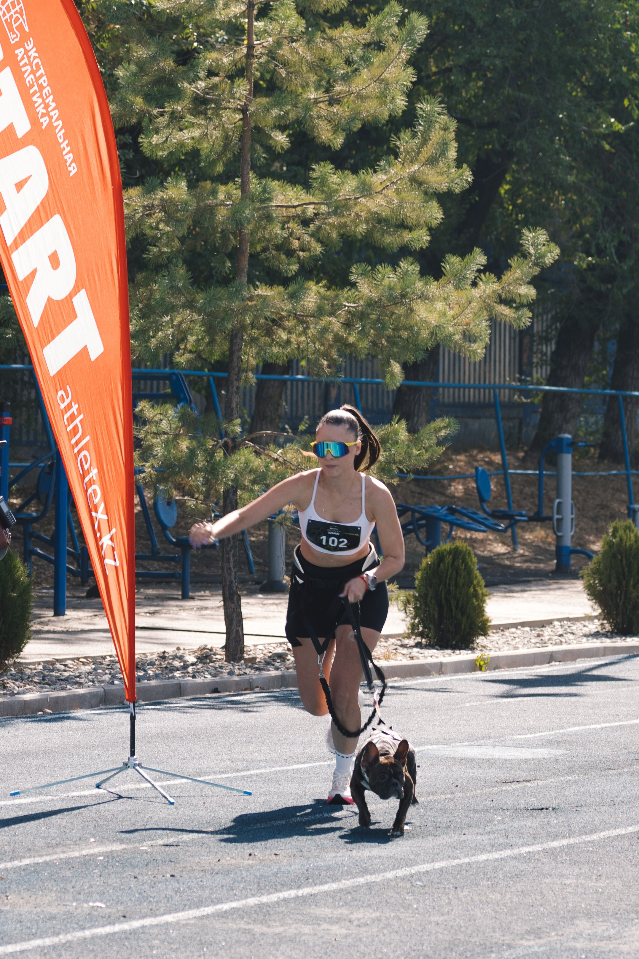 Proplan Dog Run. Коммерческий фотограф в Алматы Марина Милис. Съёмка для брендов, компаний и проектов