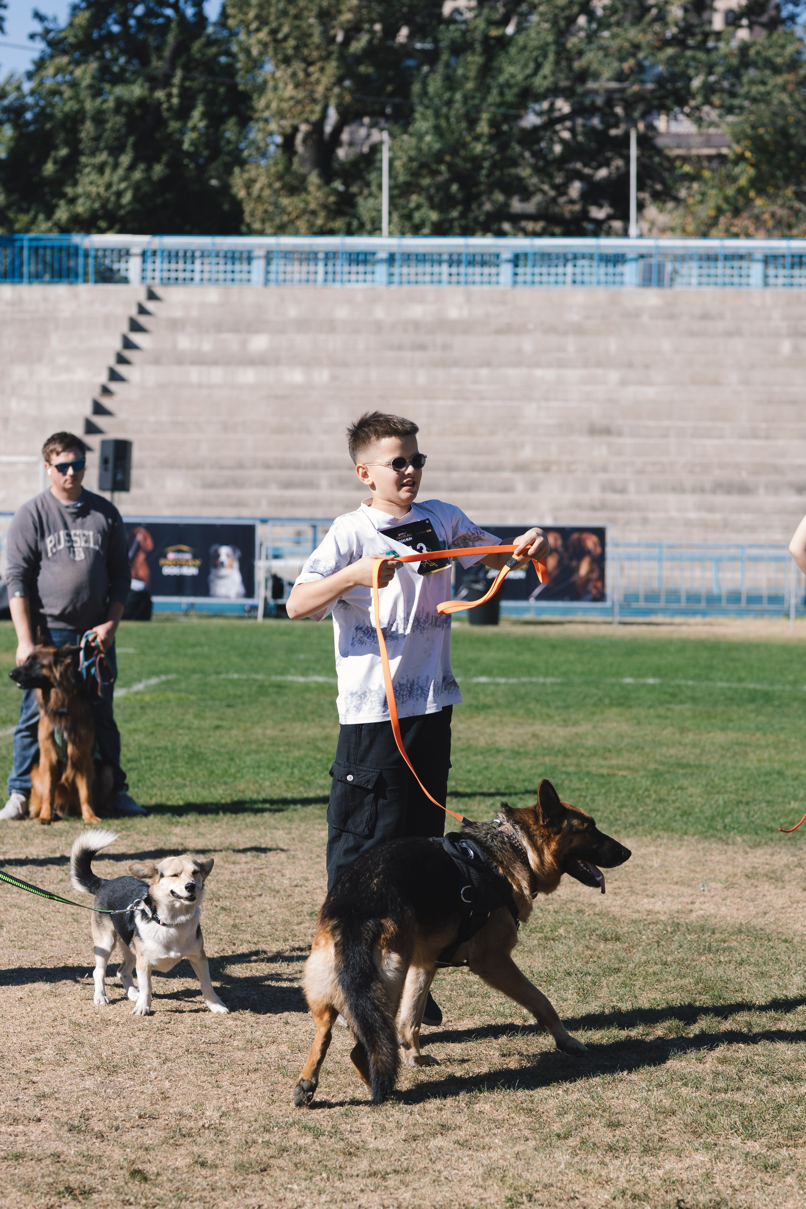 Proplan Dog Run. Коммерческий фотограф в Алматы Марина Милис. Съёмка для брендов, компаний и проектов