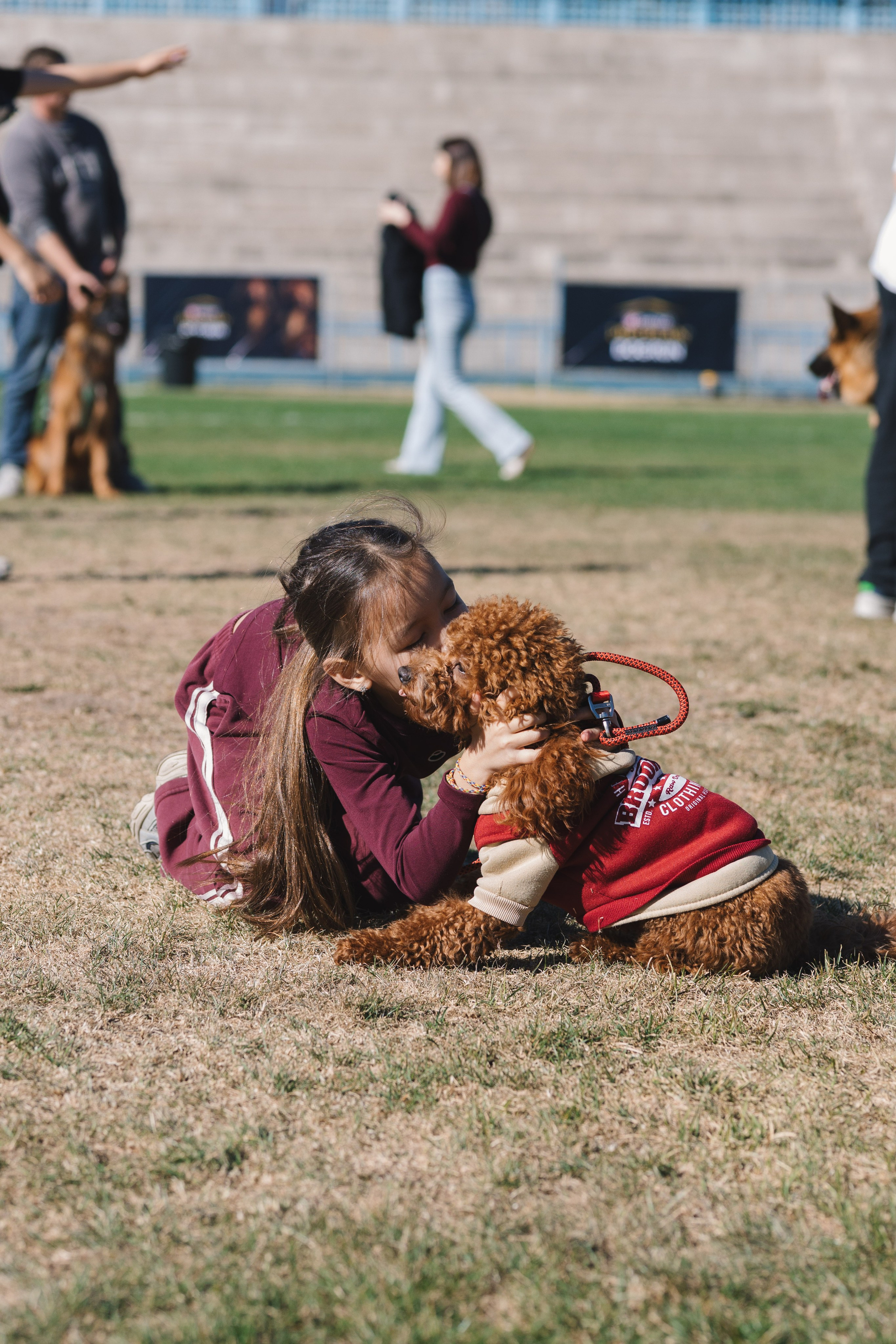 Proplan Dog Run. Коммерческий фотограф в Алматы Марина Милис. Съёмка для брендов, компаний и проектов