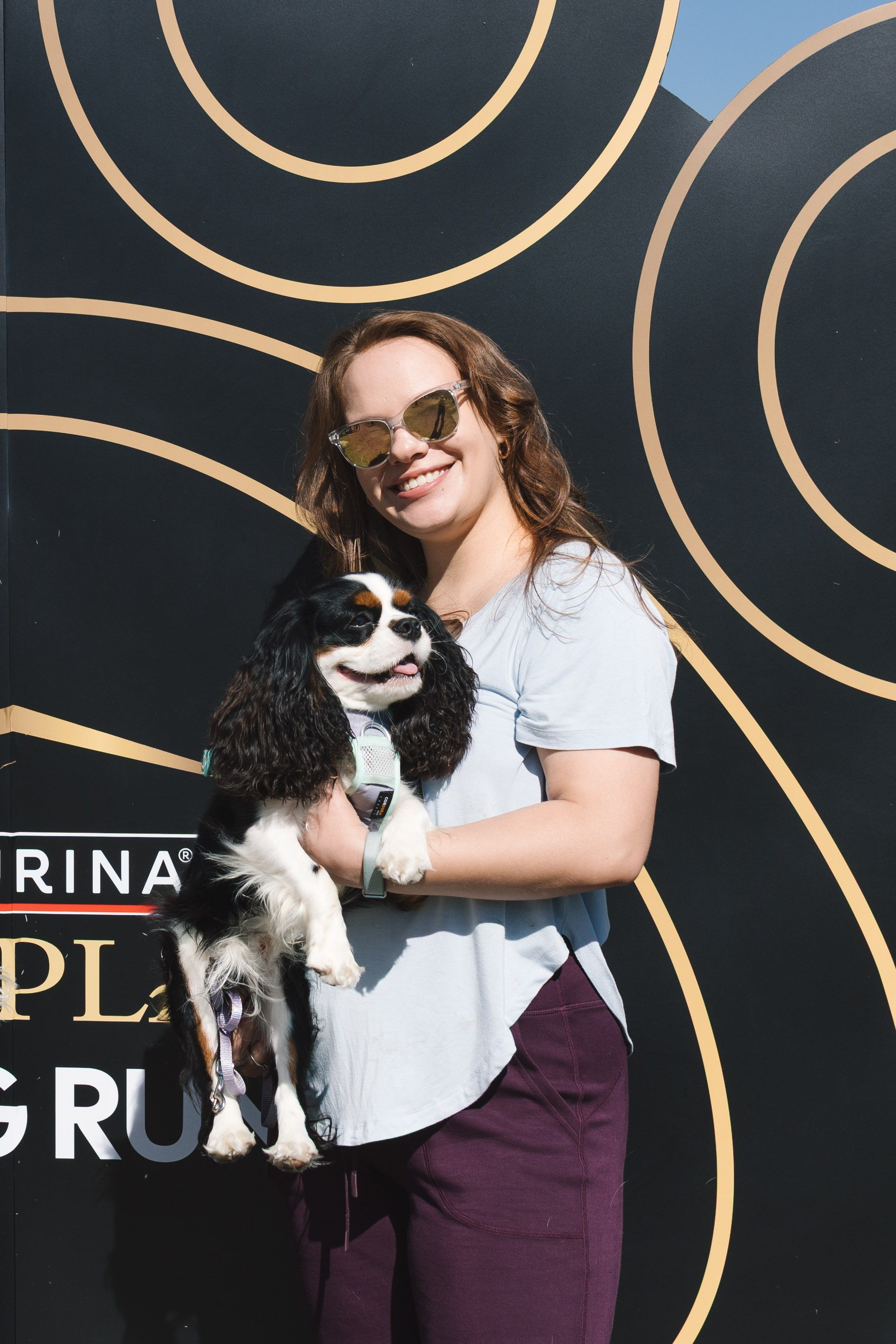 Proplan Dog Run. Коммерческий фотограф в Алматы Марина Милис. Съёмка для брендов, компаний и проектов