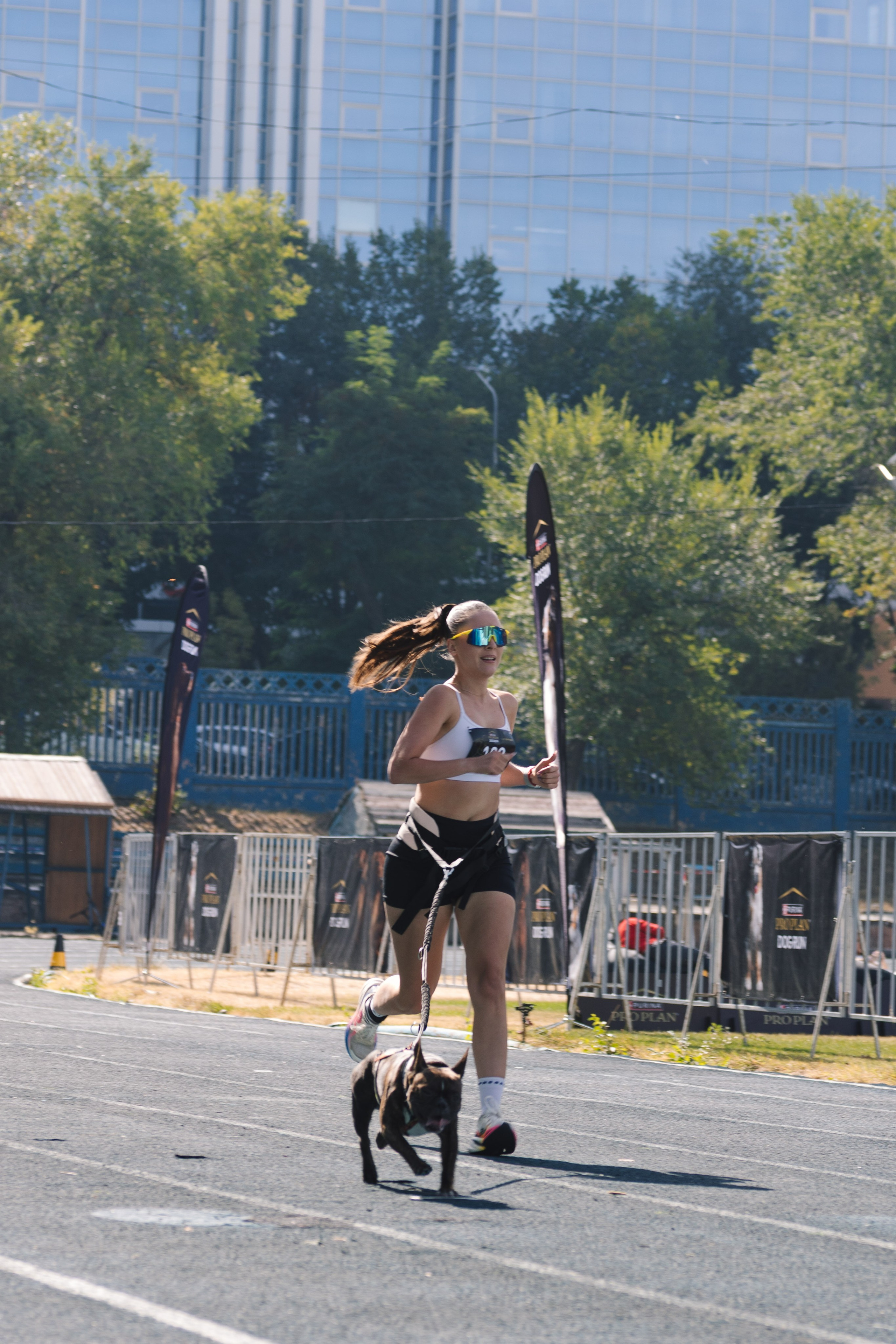 Proplan Dog Run. Коммерческий фотограф в Алматы Марина Милис. Съёмка для брендов, компаний и проектов