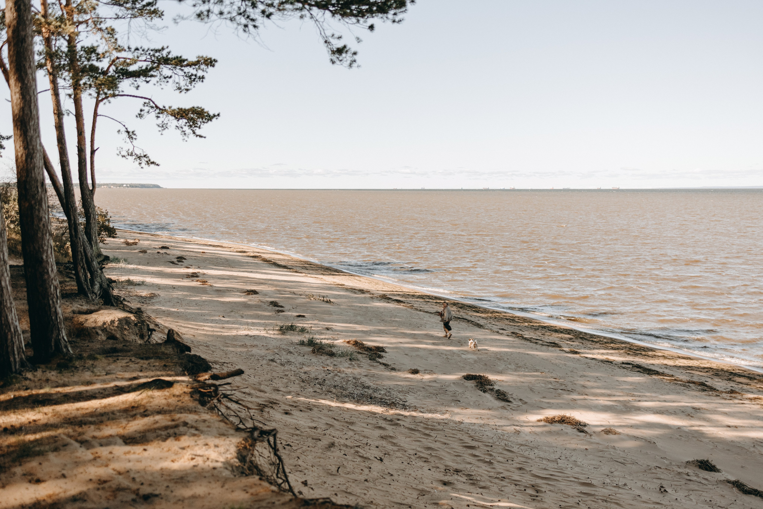 Настя и Франт. Фотограф — Анималист | Санкт-Петербург