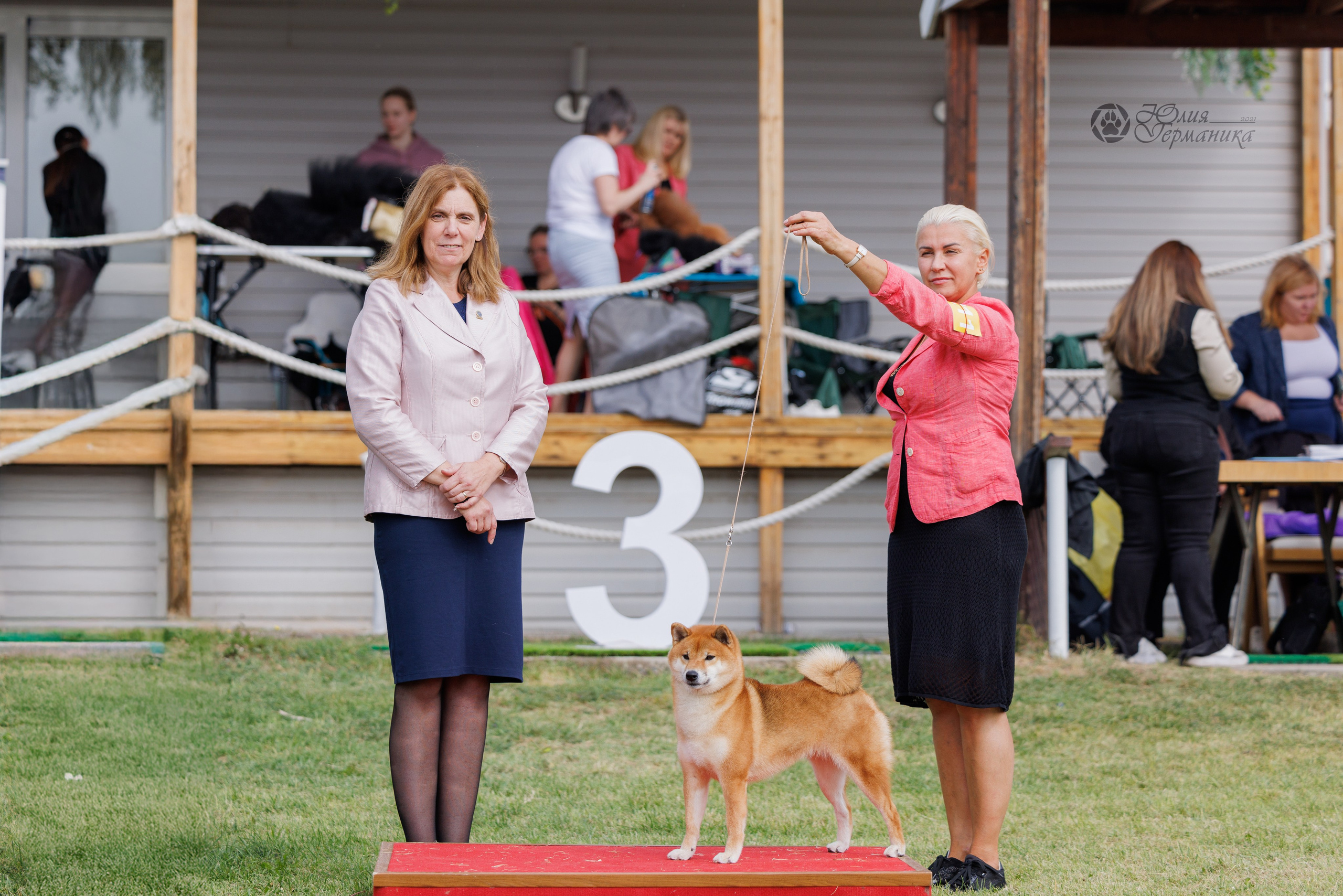 Армения,Ереван 3хCACIB 15-17.10.2024. Фотограф-анималист Юлия Германика