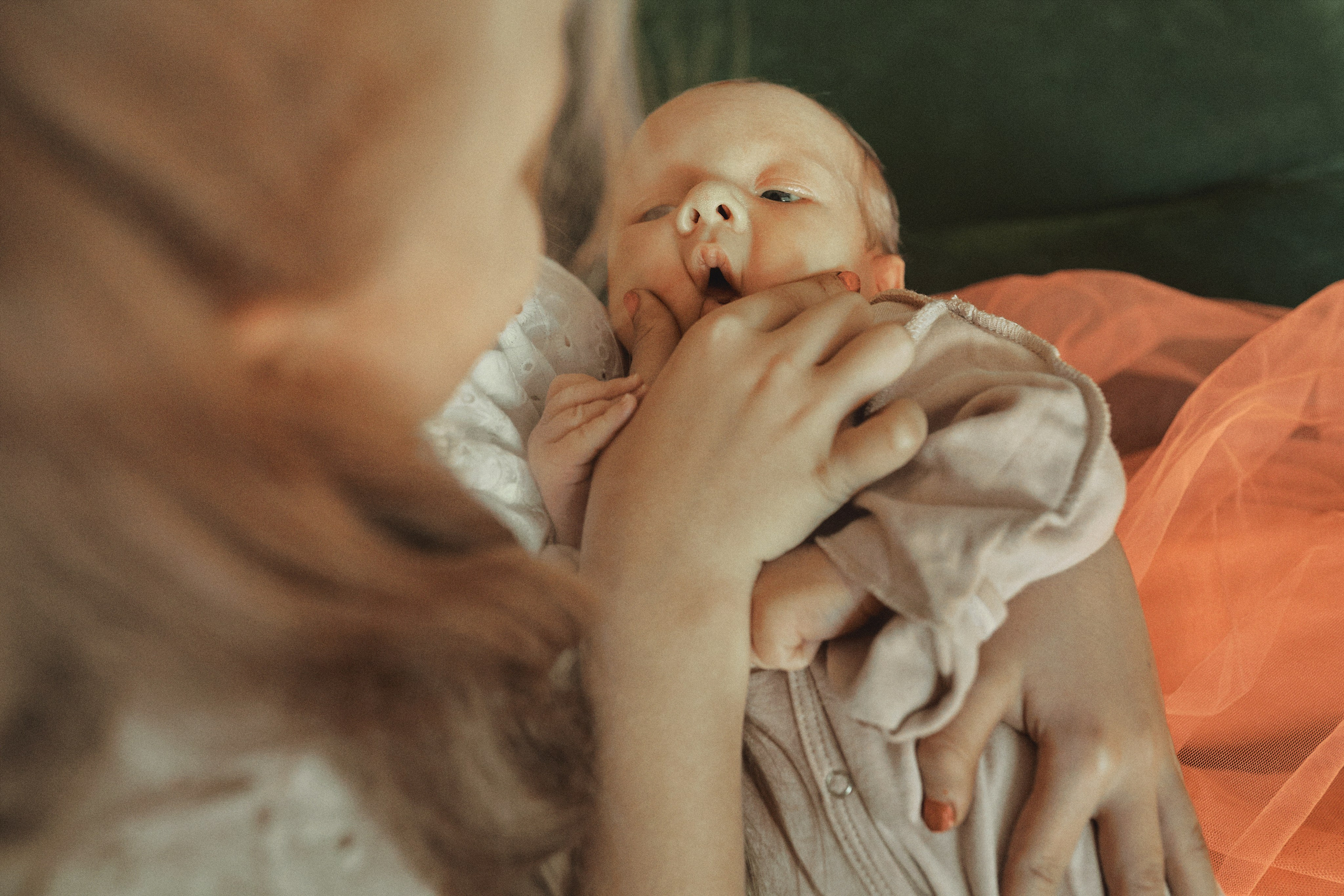 Артемчик. Семейный фотограф в Новосибирске Екатерина Сафронова