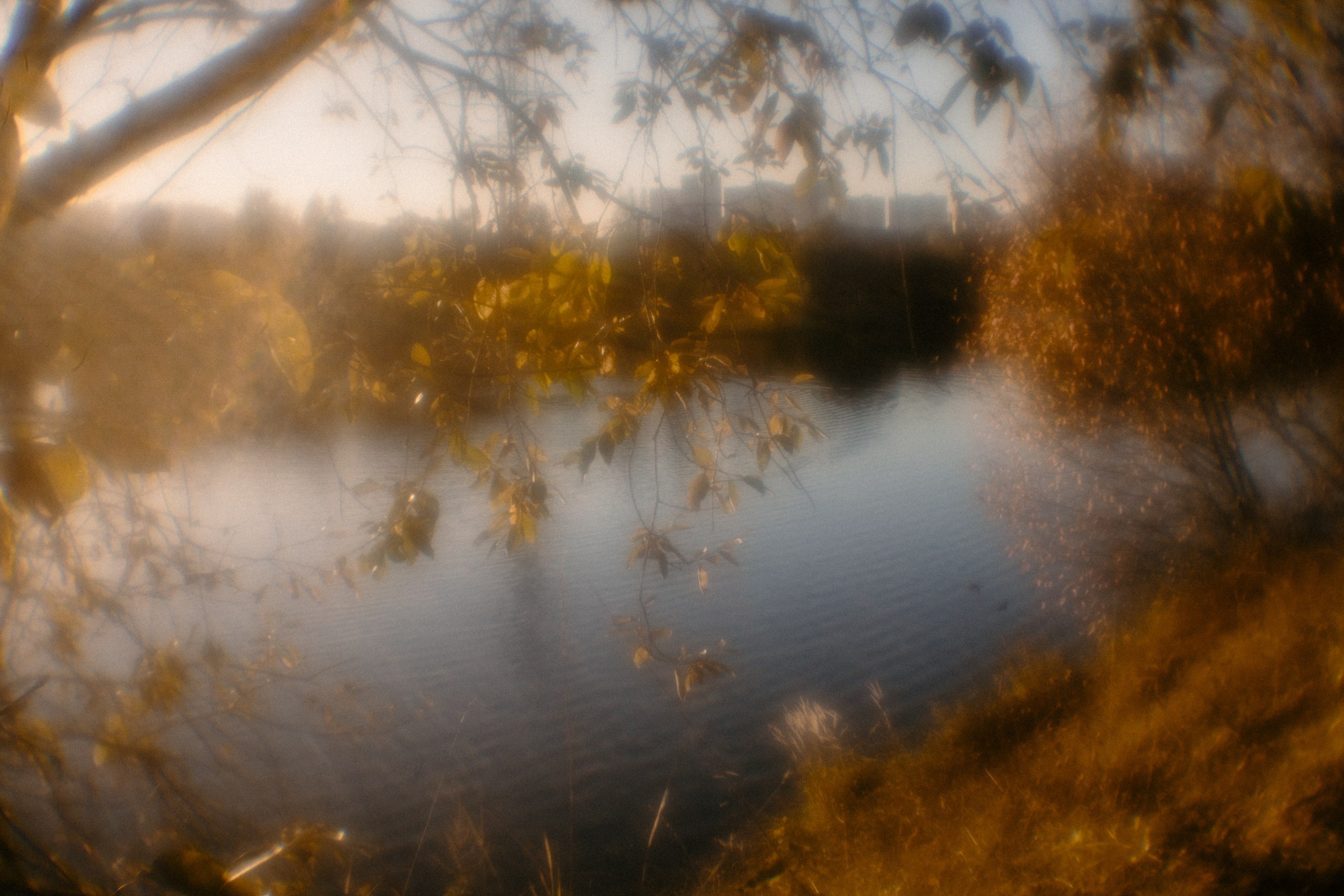 Пикториальный альбом. Семейный LIFESTYLE фотограф в Москве