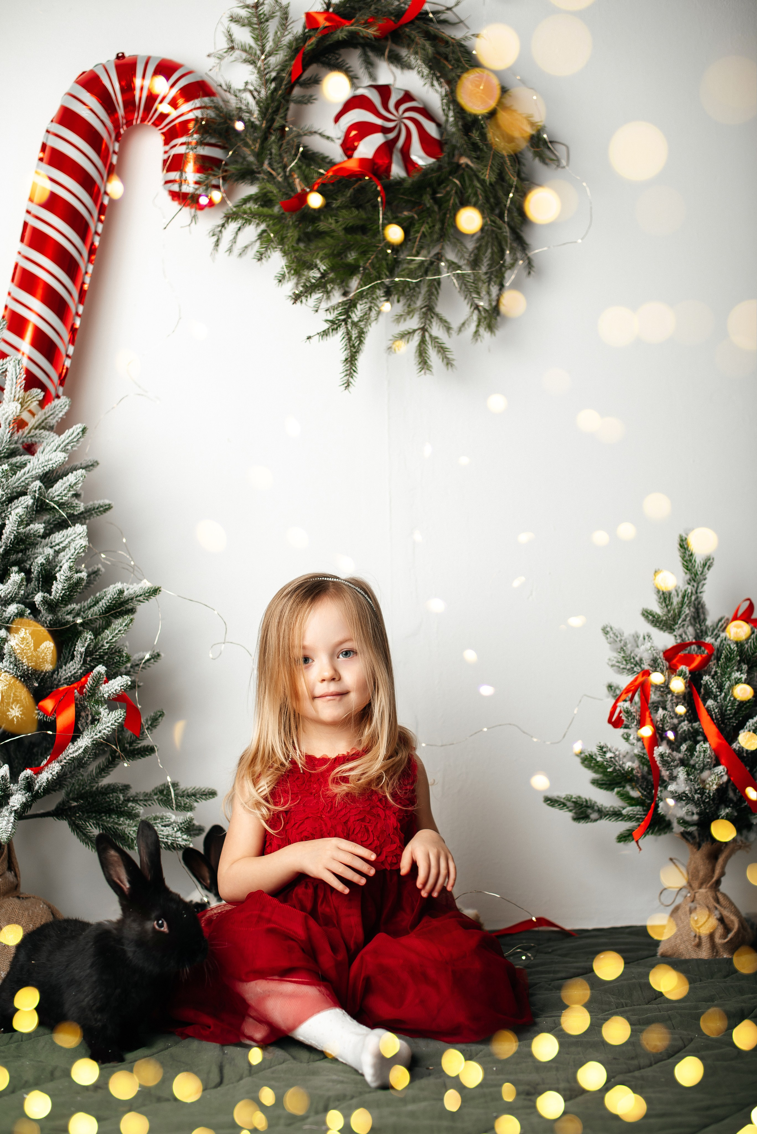 Новый год. Фотограф новорожденных и беременности Сергиев Посад Усачева Ирина