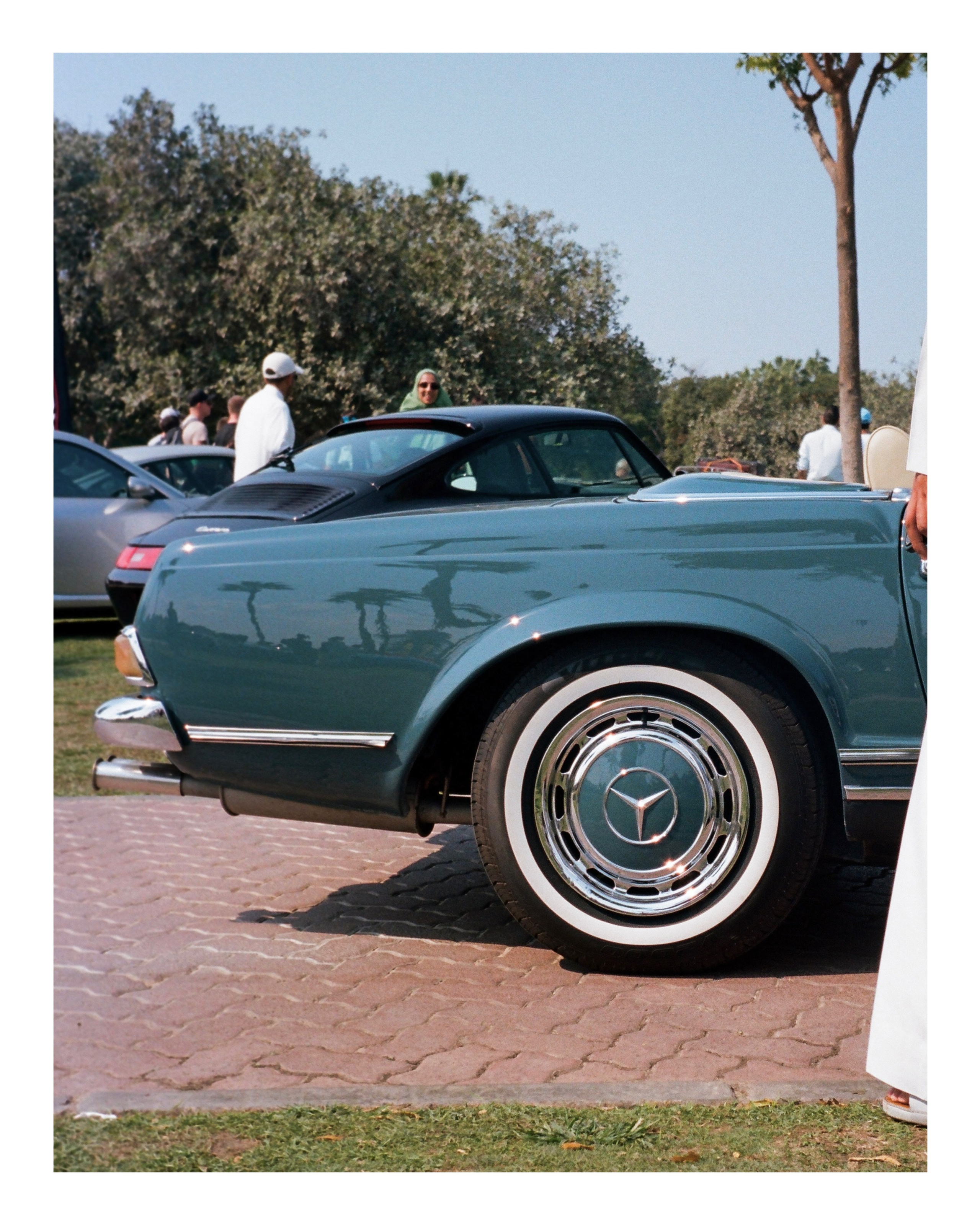 The Grand Picnic (35мм). Katyavasileva