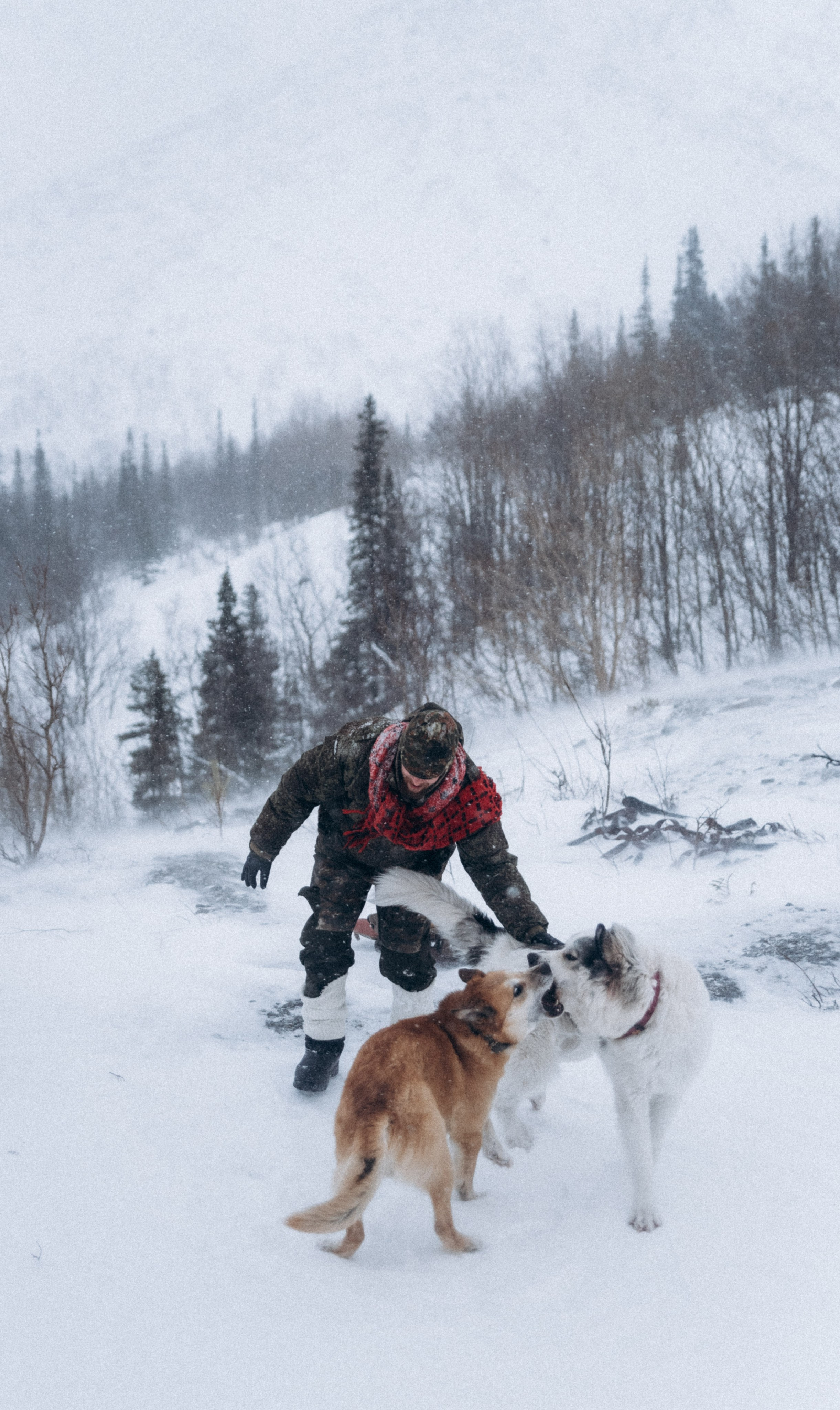 Териберка, Мурманск, Россия 🇷🇺. Anita_photo