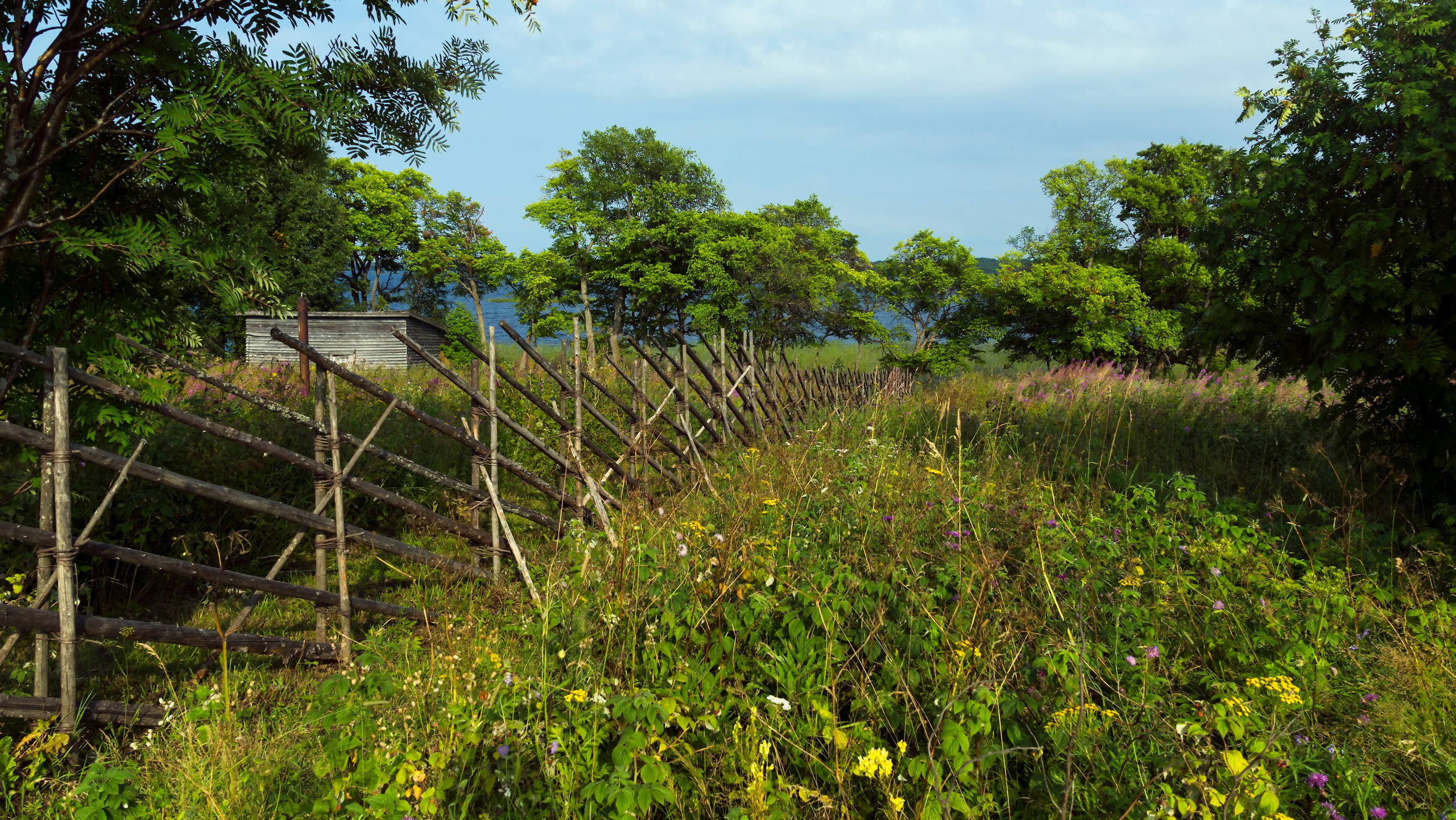 Карелия. Фотограф-путешественник Самойлов Максим «Sly Fox»