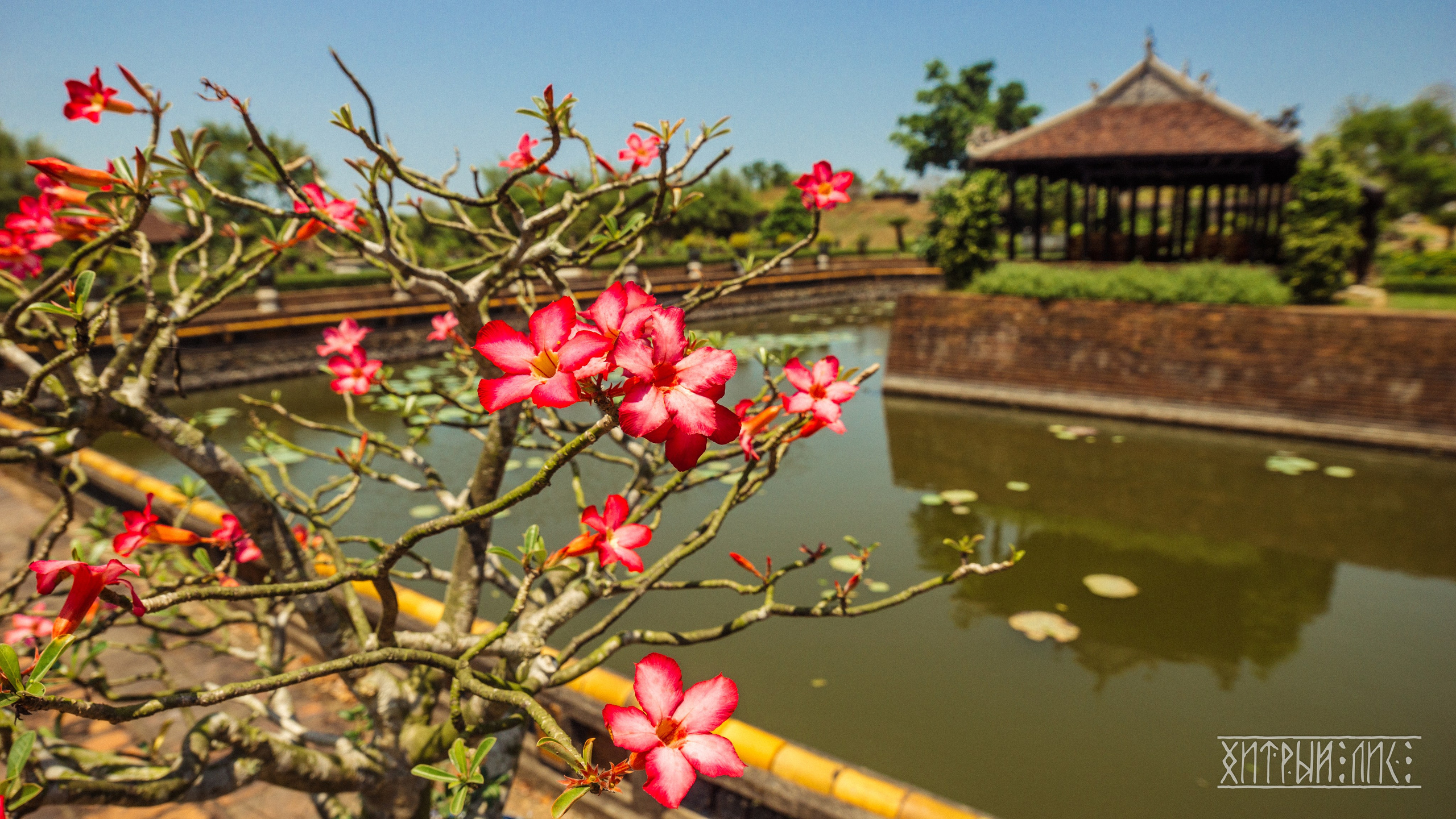 Вьетнам. Фотограф-путешественник Самойлов Максим «Sly Fox»