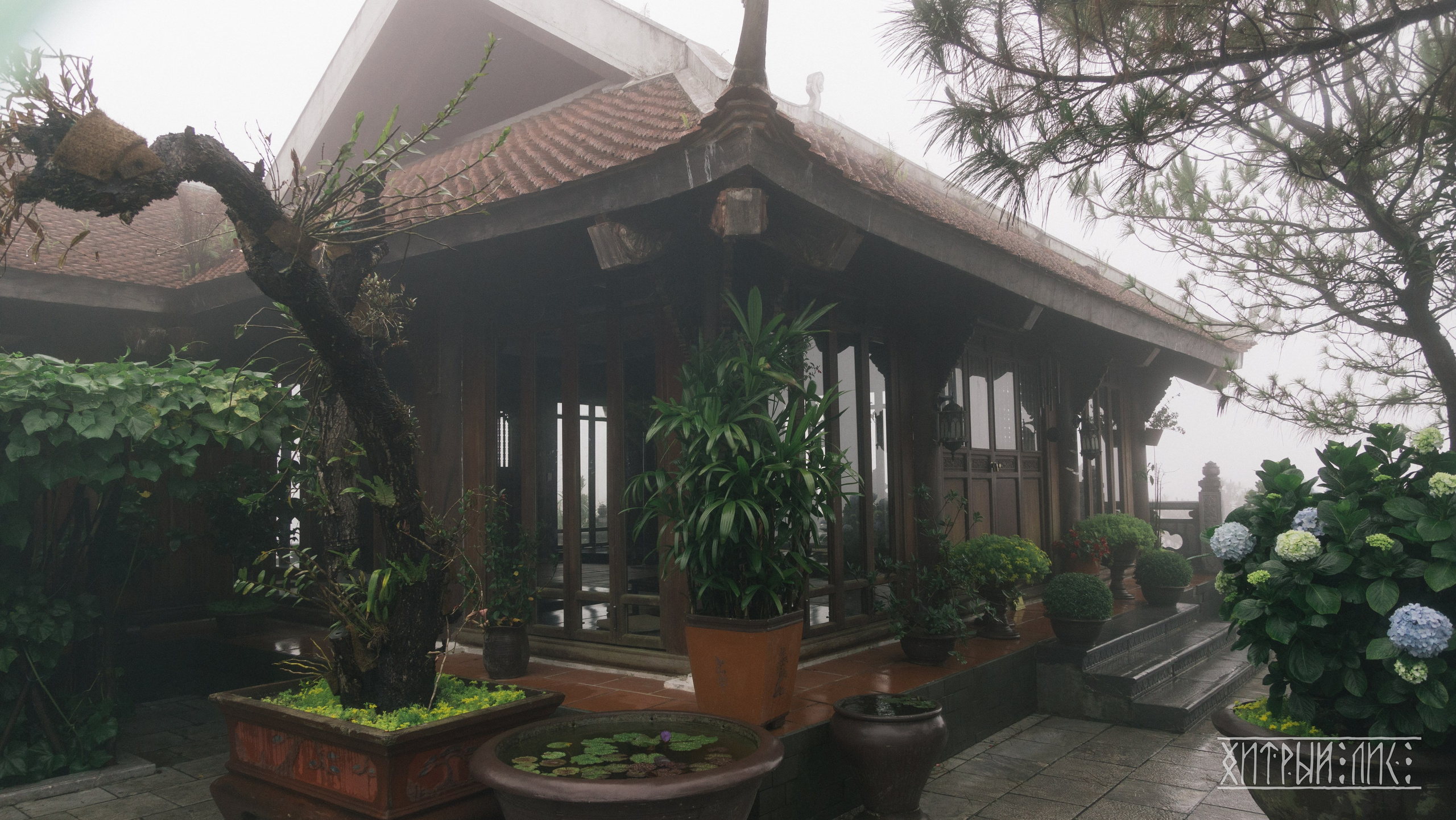 Вьетнам. Фотограф-путешественник Самойлов Максим «Sly Fox»