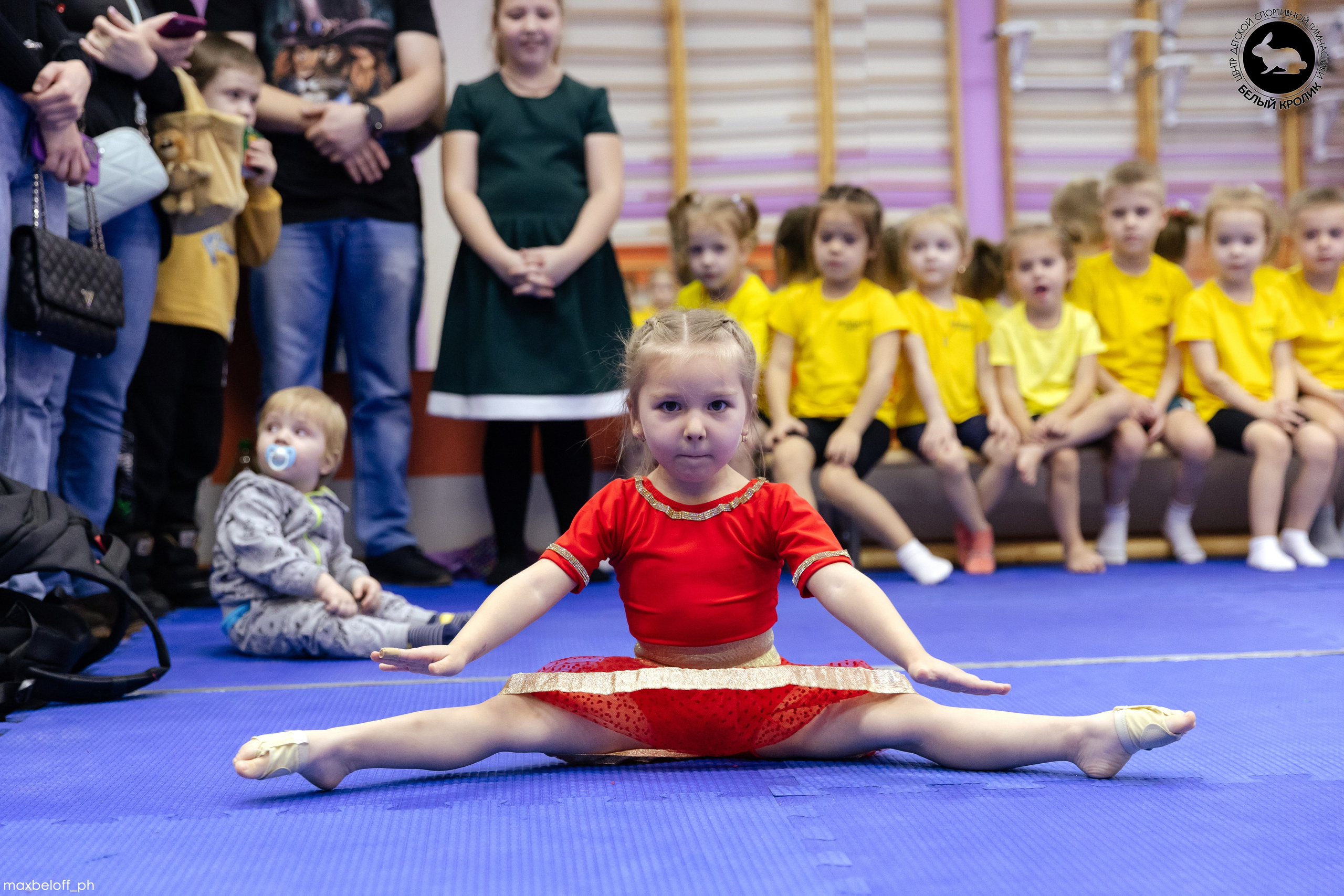 Белый кролик. Соревнования. Семейный фотограф — Макс Белогрудов