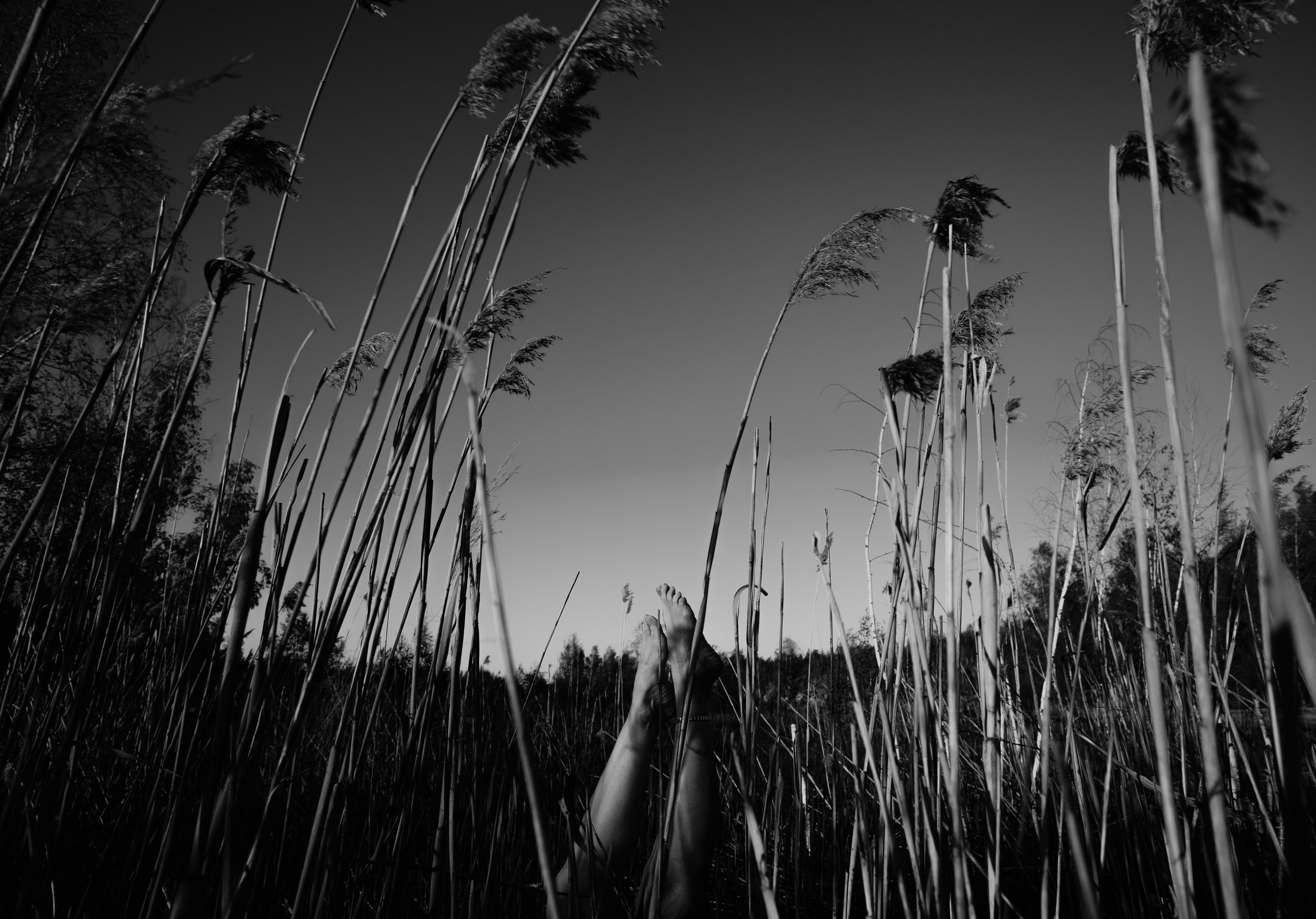 Постер. Lisphoto.ru