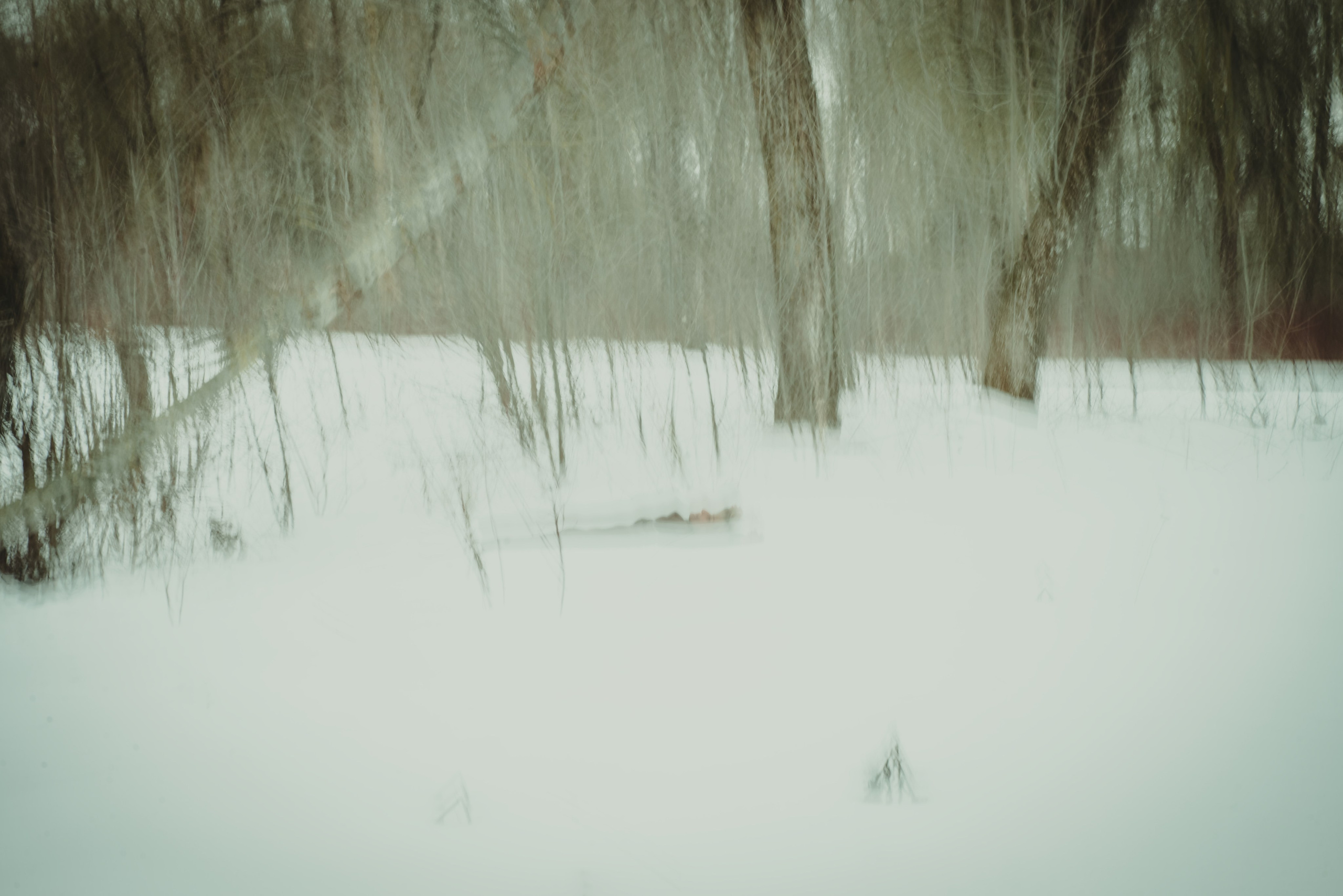 Зима любви. Фотограф Крещение Венчание Москва