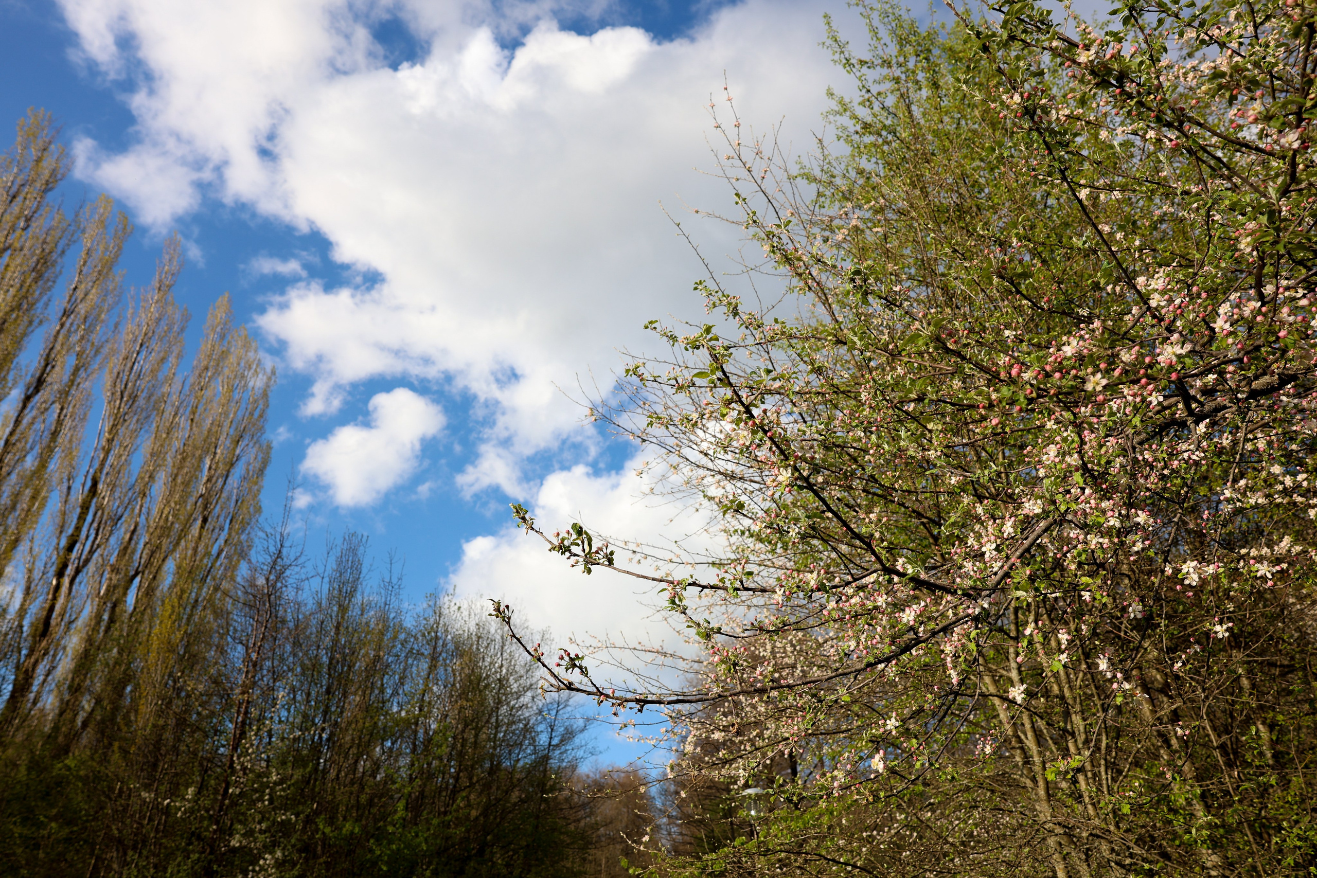 Фотограф Мария Алексеева. Мария Алексеева. Фотограф в Москве