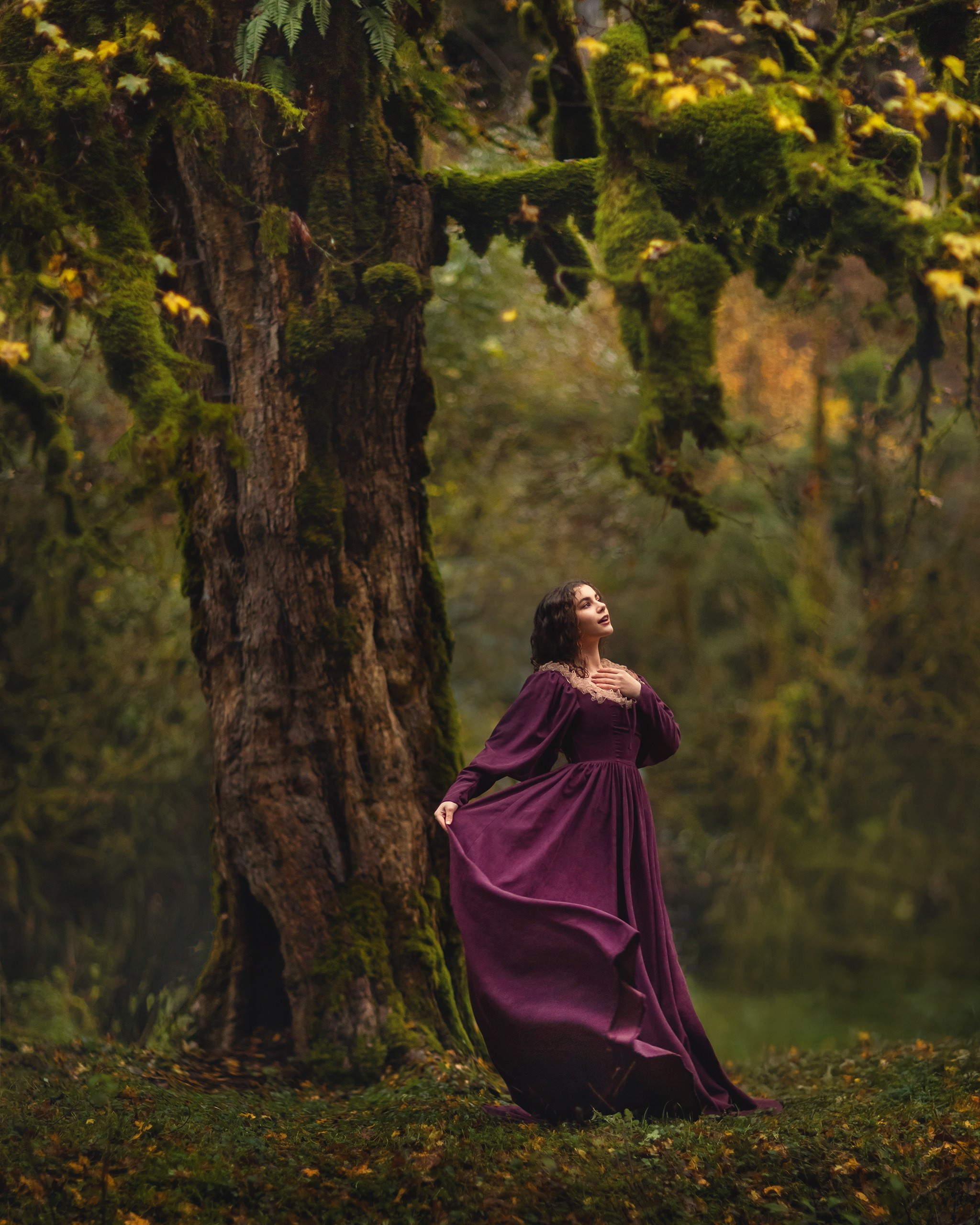 Самшитовый лес. Детский и семейный фотограф Елена Михайлова в Москве