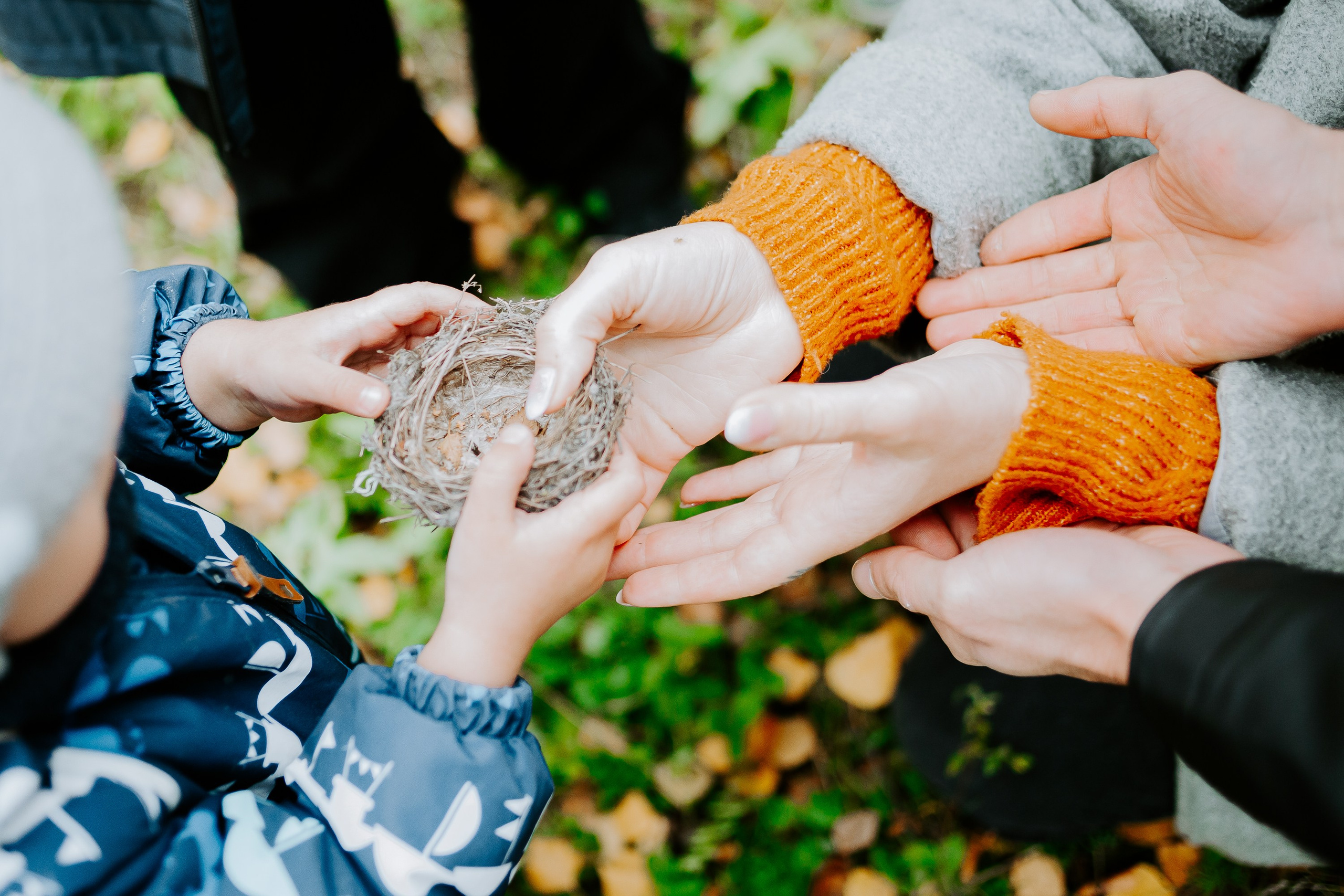 Семейная прогулка. Фотограф в Челябинске Ополихина Анна