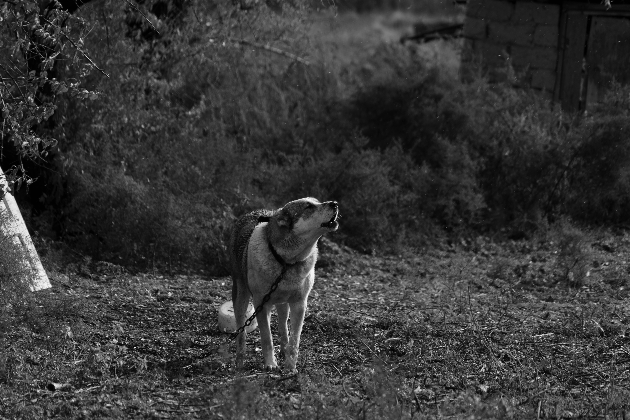 Бекстейдж сьемки кино. Профессиональная съемка в Алматы