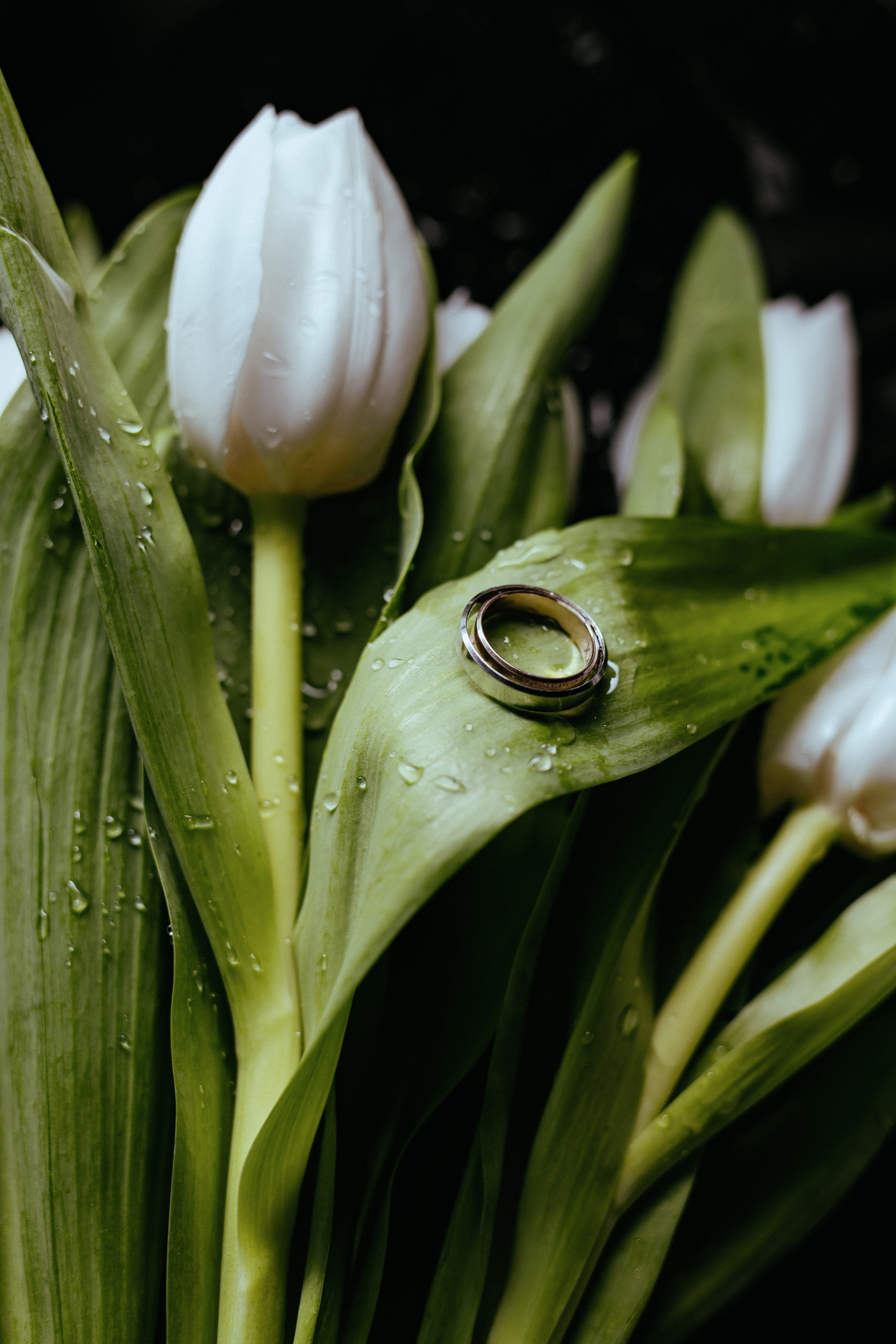 Теплый Апрель. Фотограф Андрей Куськало