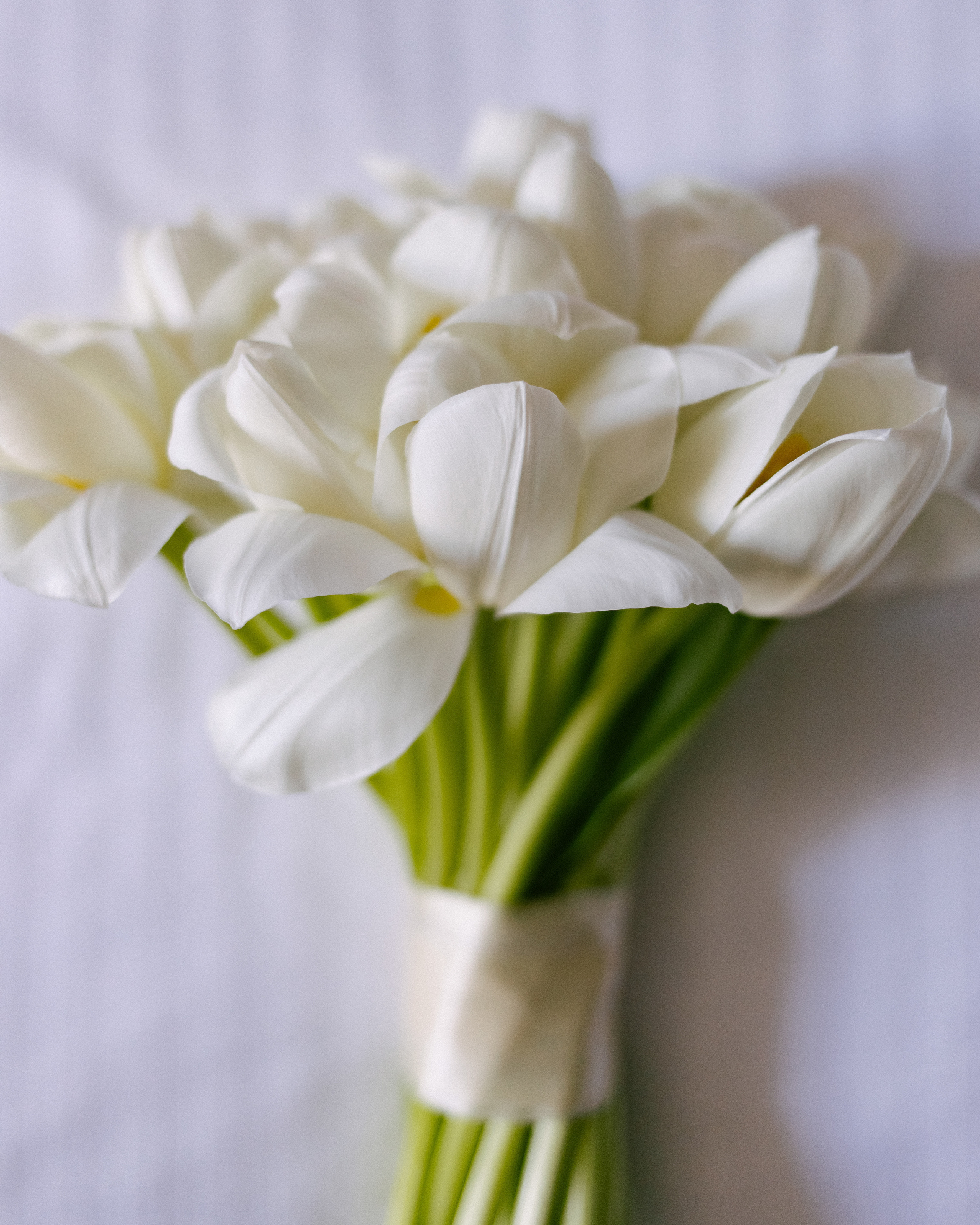 Теплый Апрель. Фотограф Андрей Куськало