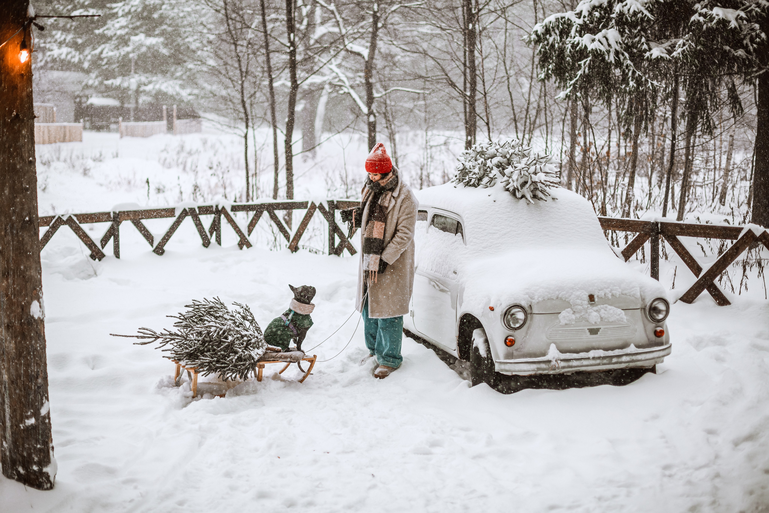 Кантри Хаус. Фотограф-анималист Татьяна Степанова