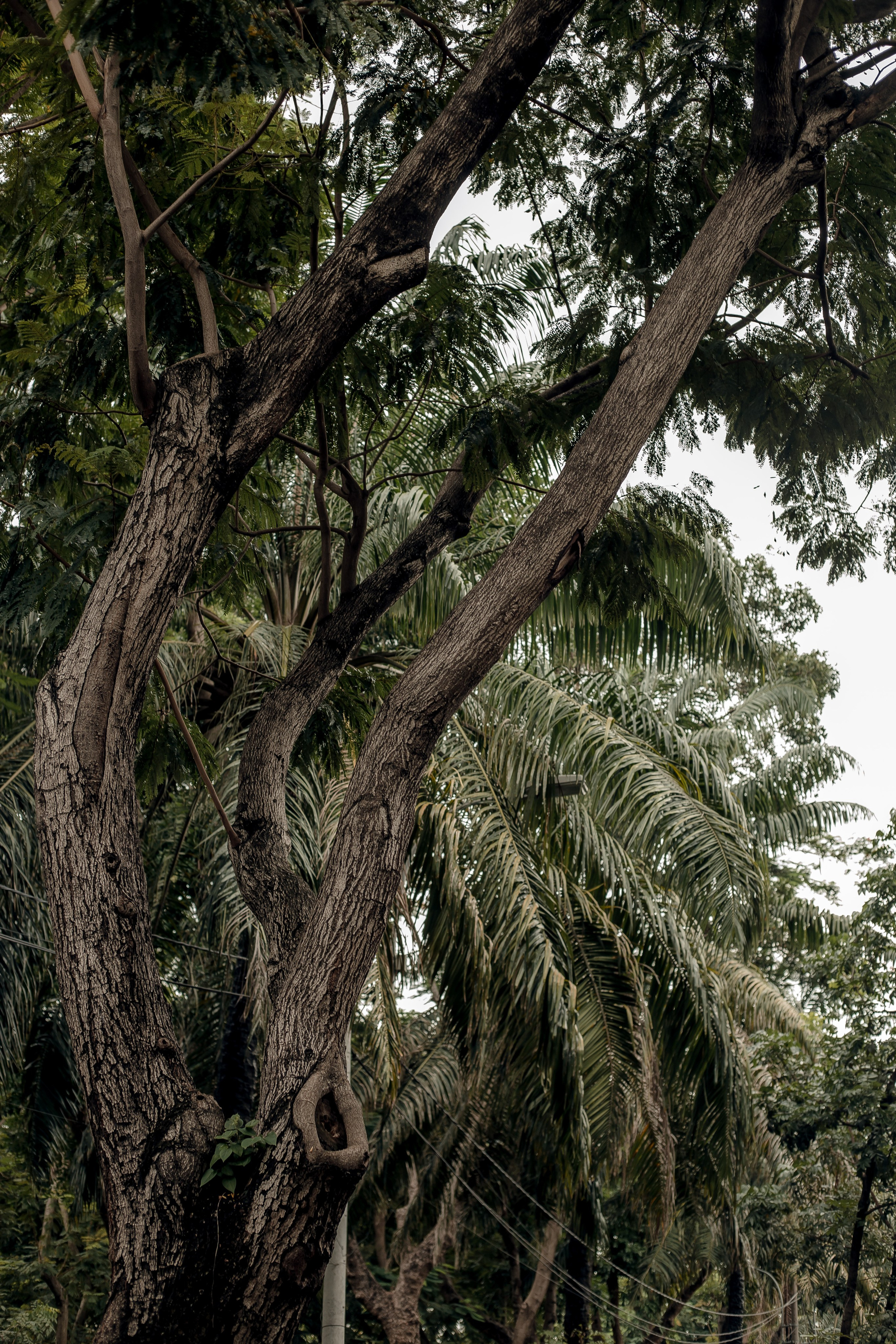 Ho Chi Minh, Vietnam | Part 1| 2025. Art Photographer