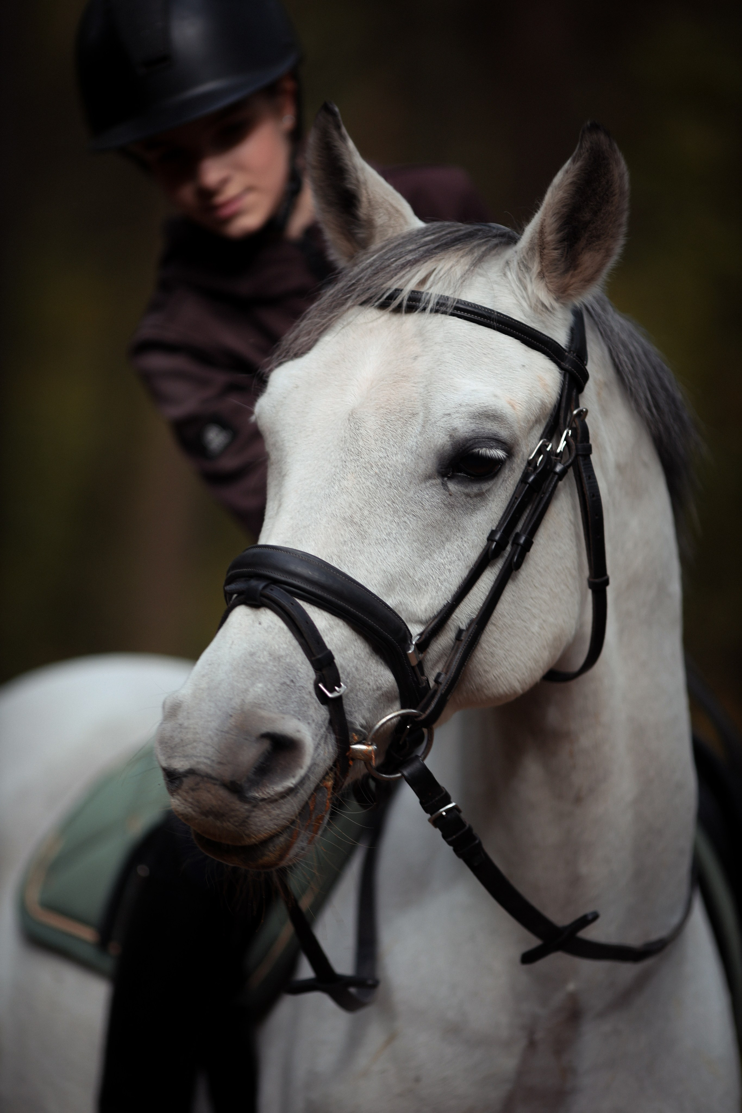 Фотосессия с животными. Фотограф Алина Рошаль. С 2017 года ловлю эмоции и превращаю их в нежные воспоминания для вас в Москве и Подмосковье