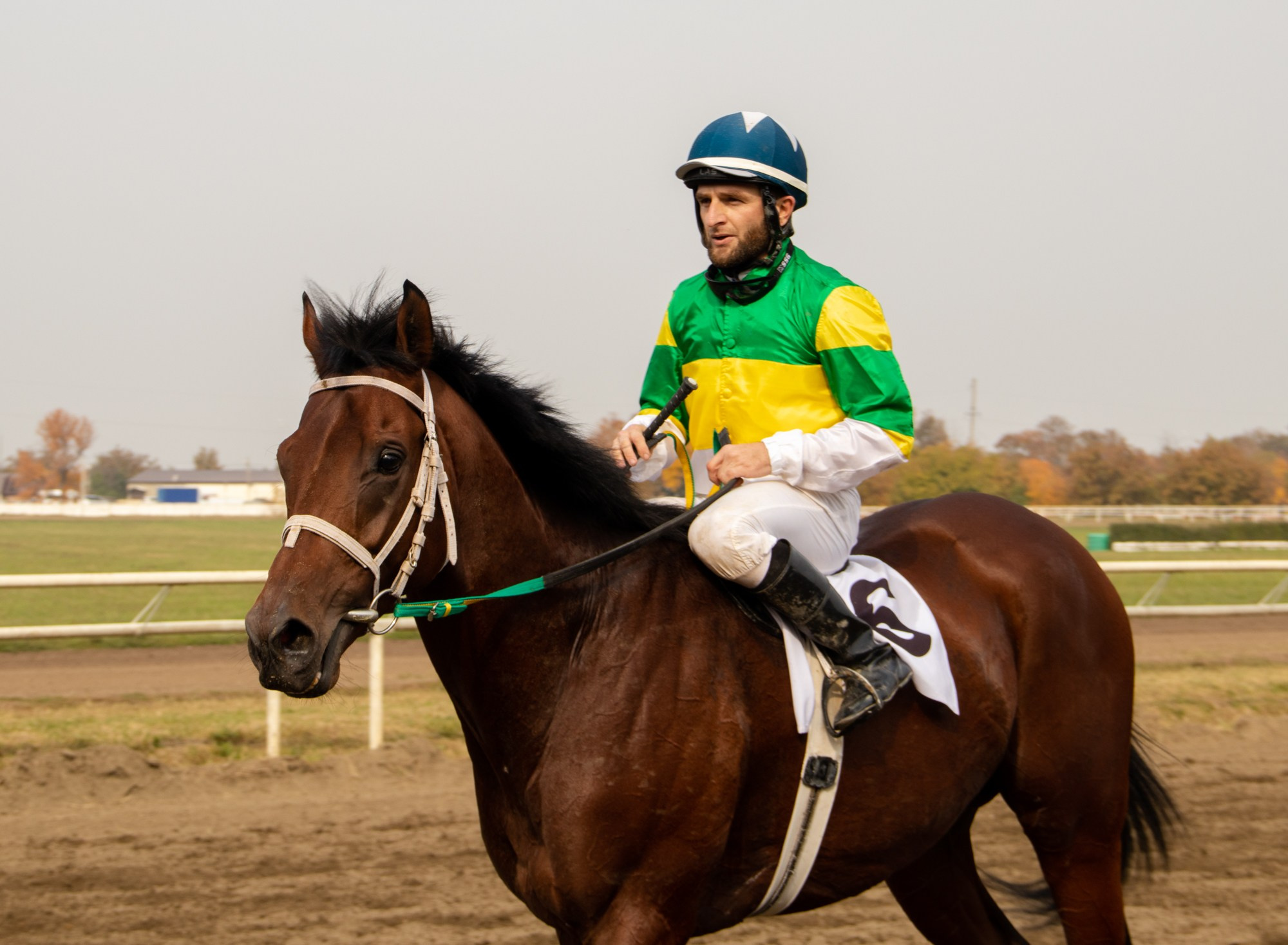 Закрытие скакового сезона на Краснодарском ипподроме. Репортажный, промышленный и маркетплейс-фотограф Дмитрий Чернат