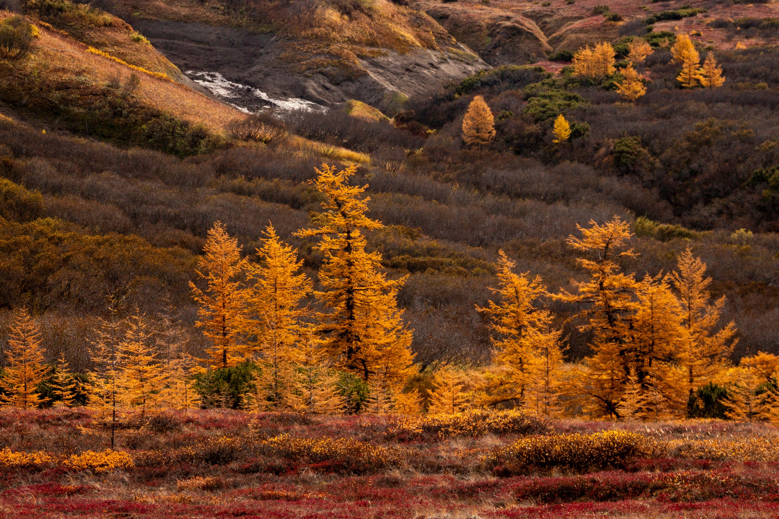Фототур на Толбачик — марсианские ландшафты Камчатки. Время Камчатки: чтобы найти свой путь, нужно скорость умножить на время