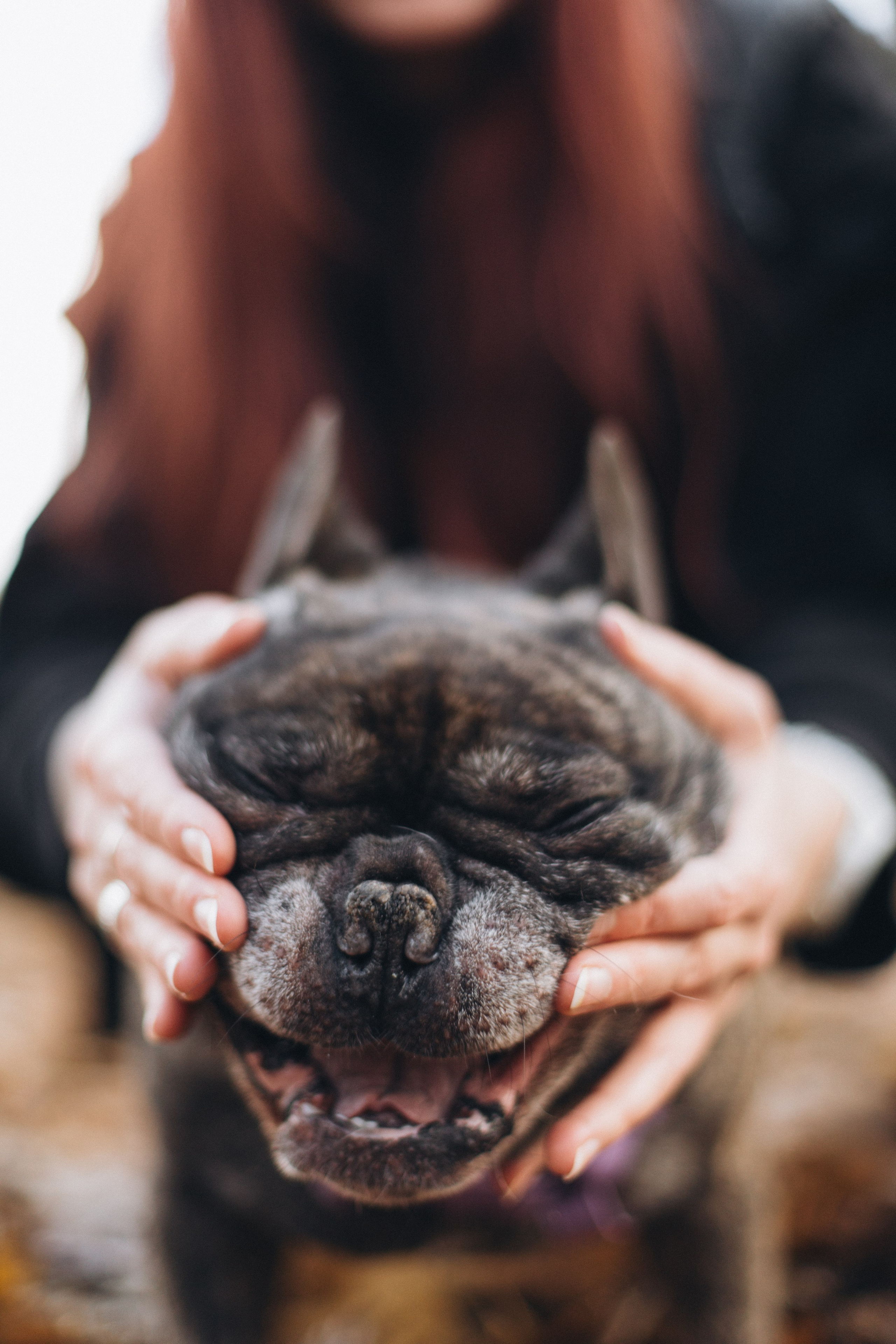 Ирина и Жора. Фотограф / Свадебный фотограф МОСКВА, КОММУНАРКА, КОВРОВ