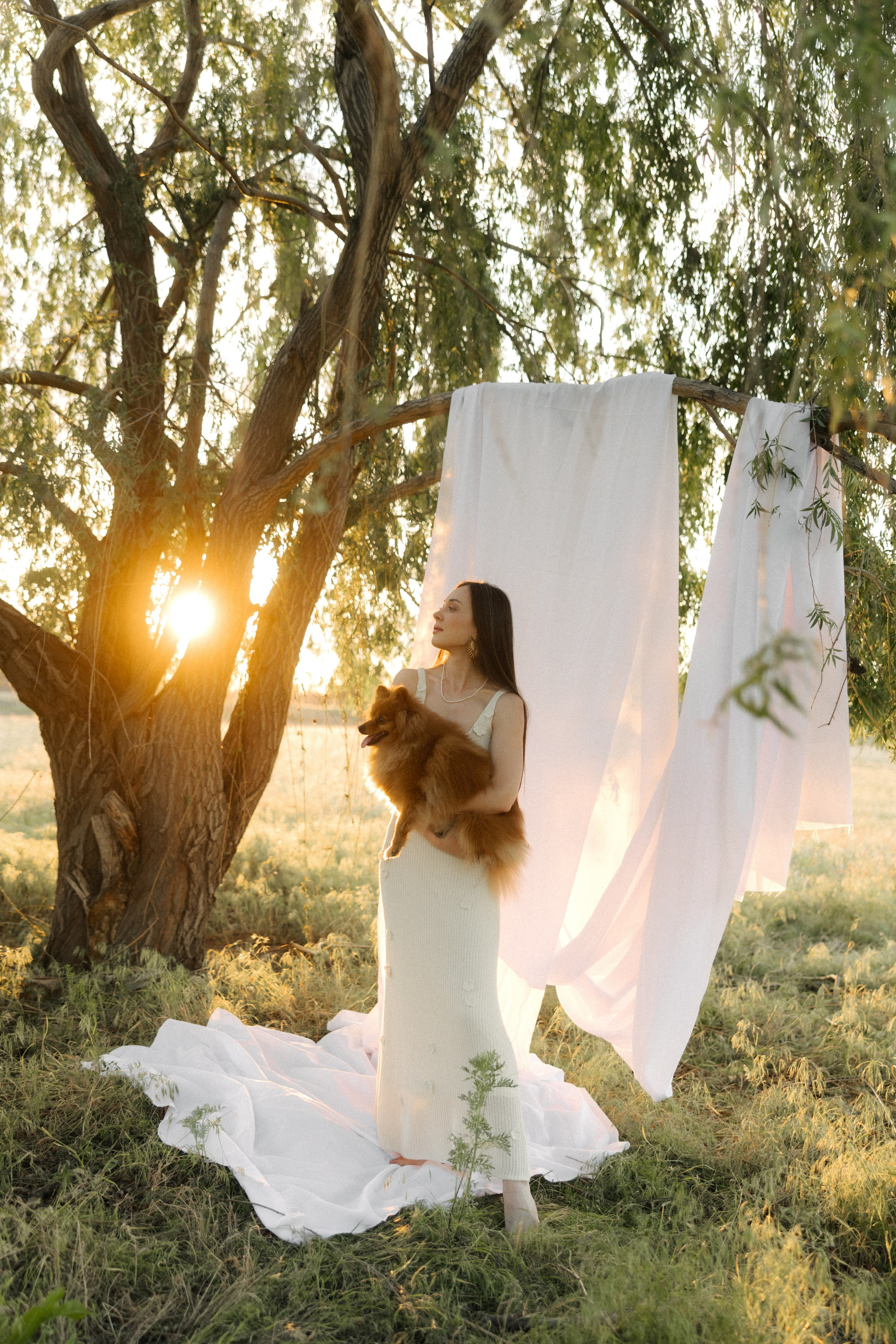 Ромашки. Свадебный и семейный фотограф Юлия Сафронова