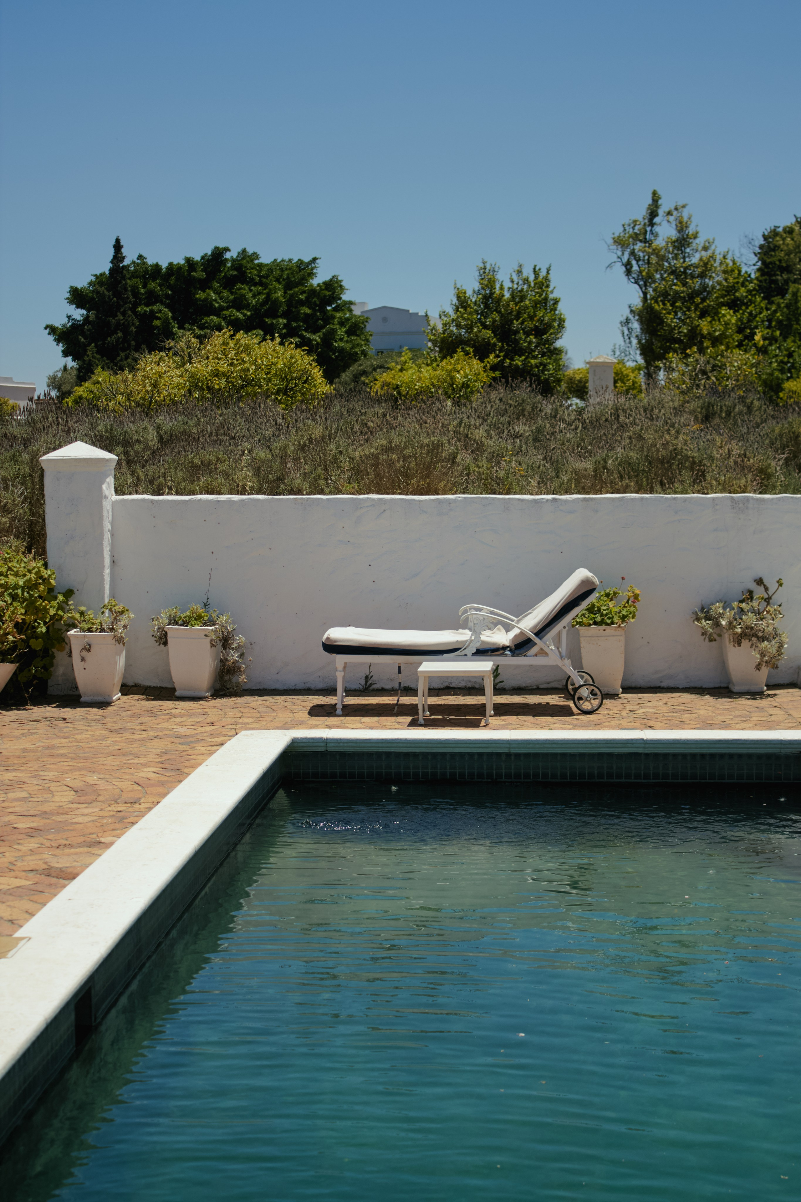 ЮАР. Профессиональный Фотограф во Владимире, в Москве и в Суздале — Полина Романычева