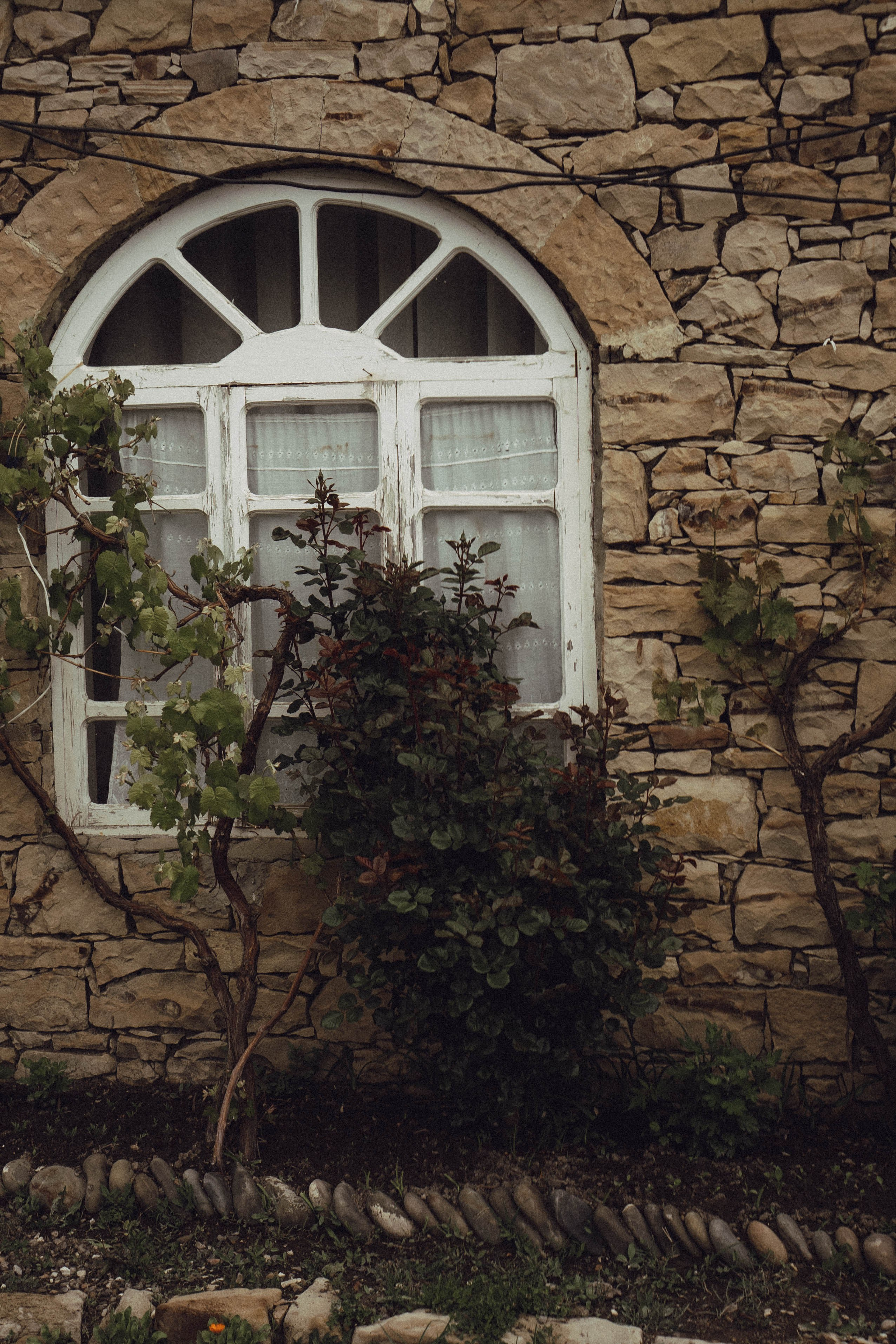 Кавказ. Профессиональный фотограф, Санкт-Петербург — Виктория Богомолова