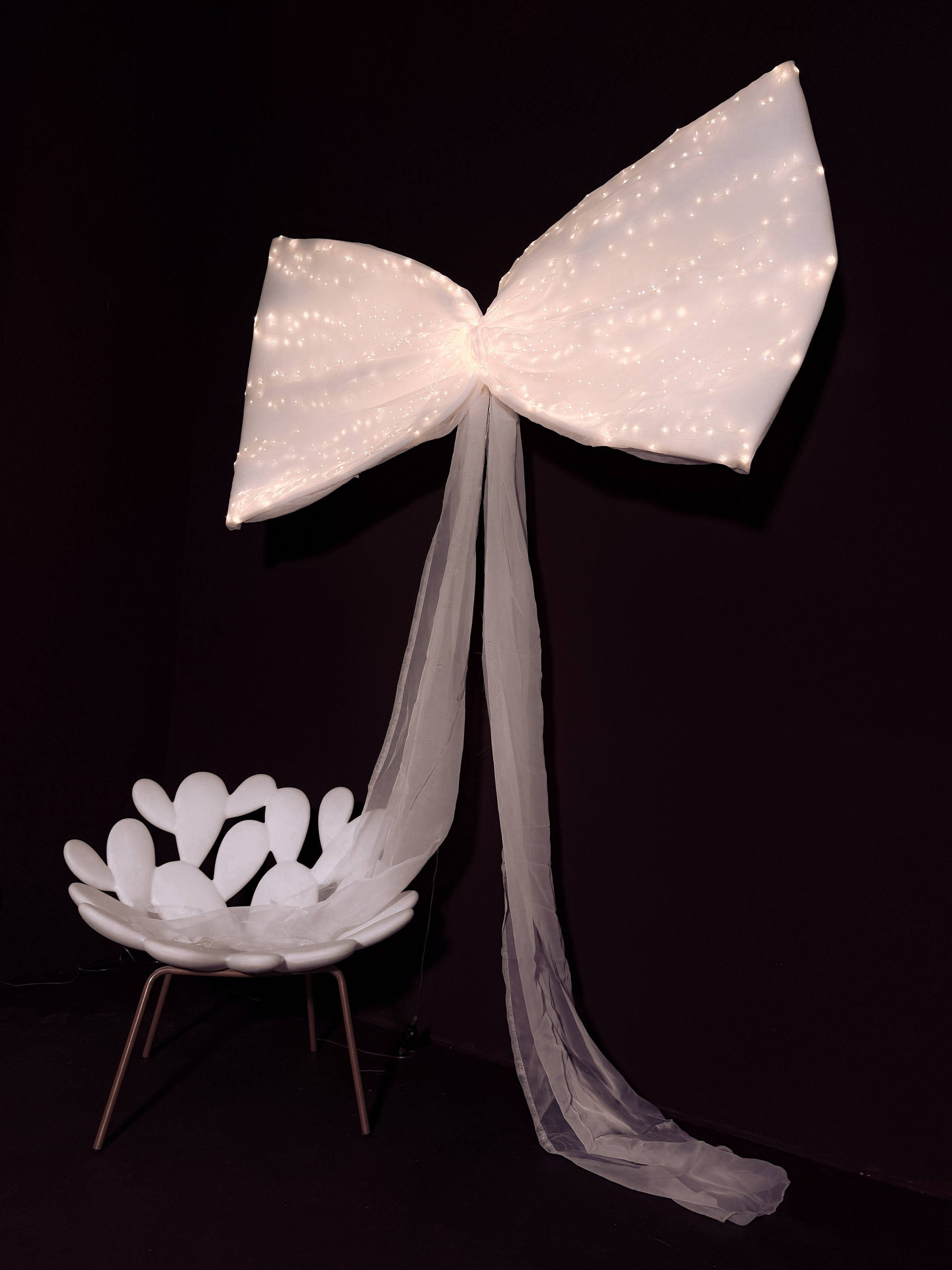 Зал ART * NY 2026. Фотостудия Элис