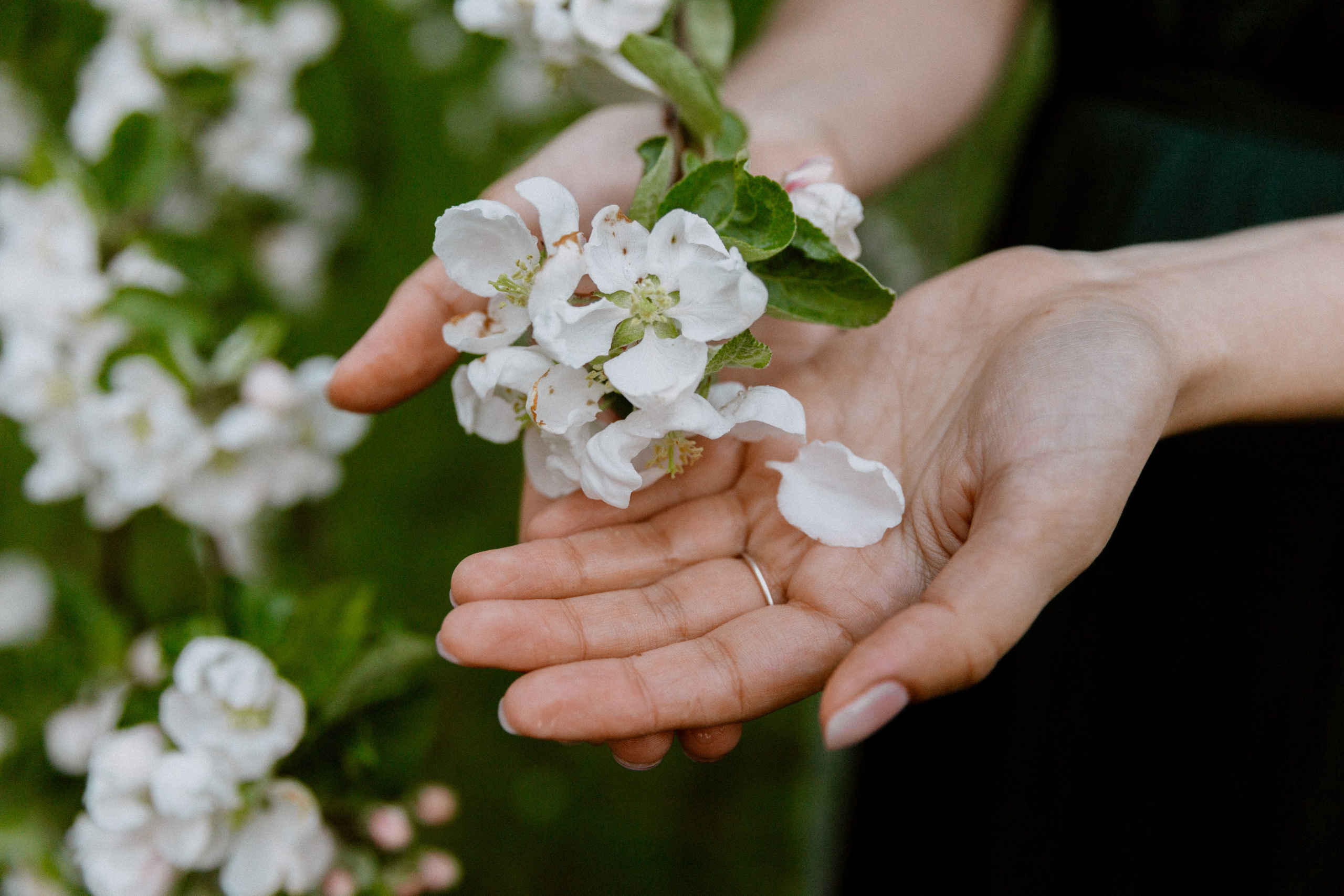 Таня в Коломенском. Фотограф-анималист в Москве Соломонова Варвара