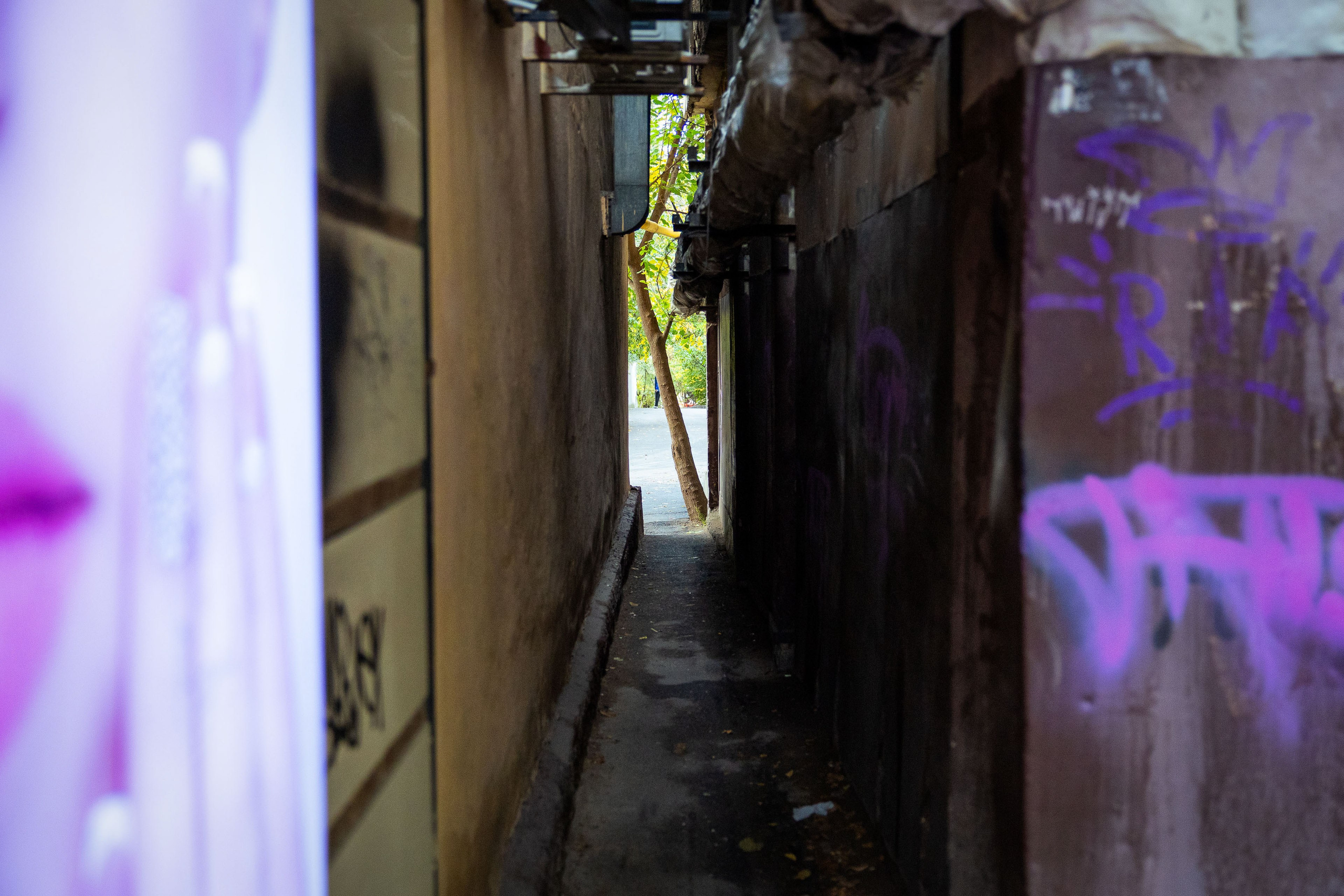 Казахстан (осень 2024). Фотограф Виноградов Константин