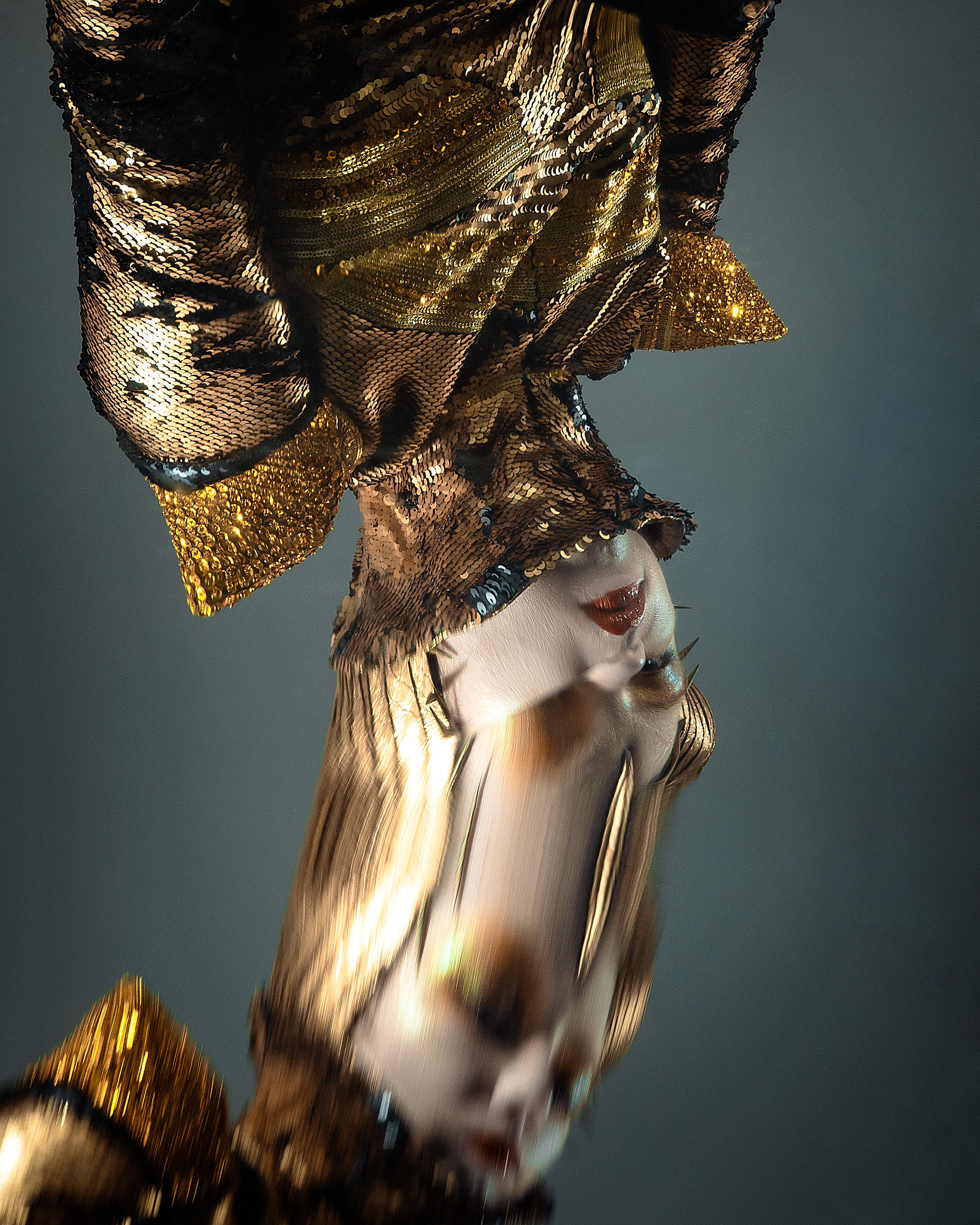 Роза. Фотограф Кристина Холмская Москва