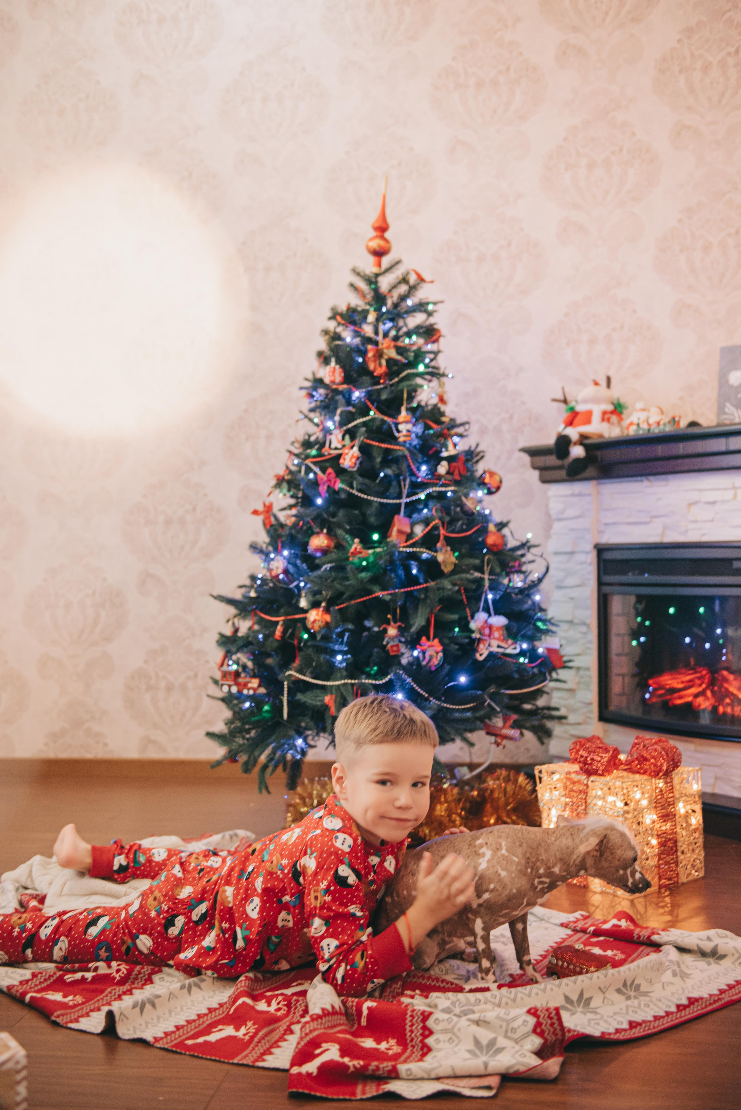 Семейная съемка Рябовых — новогодняя. Фотограф в Краснодаре Зеленкина Дарья