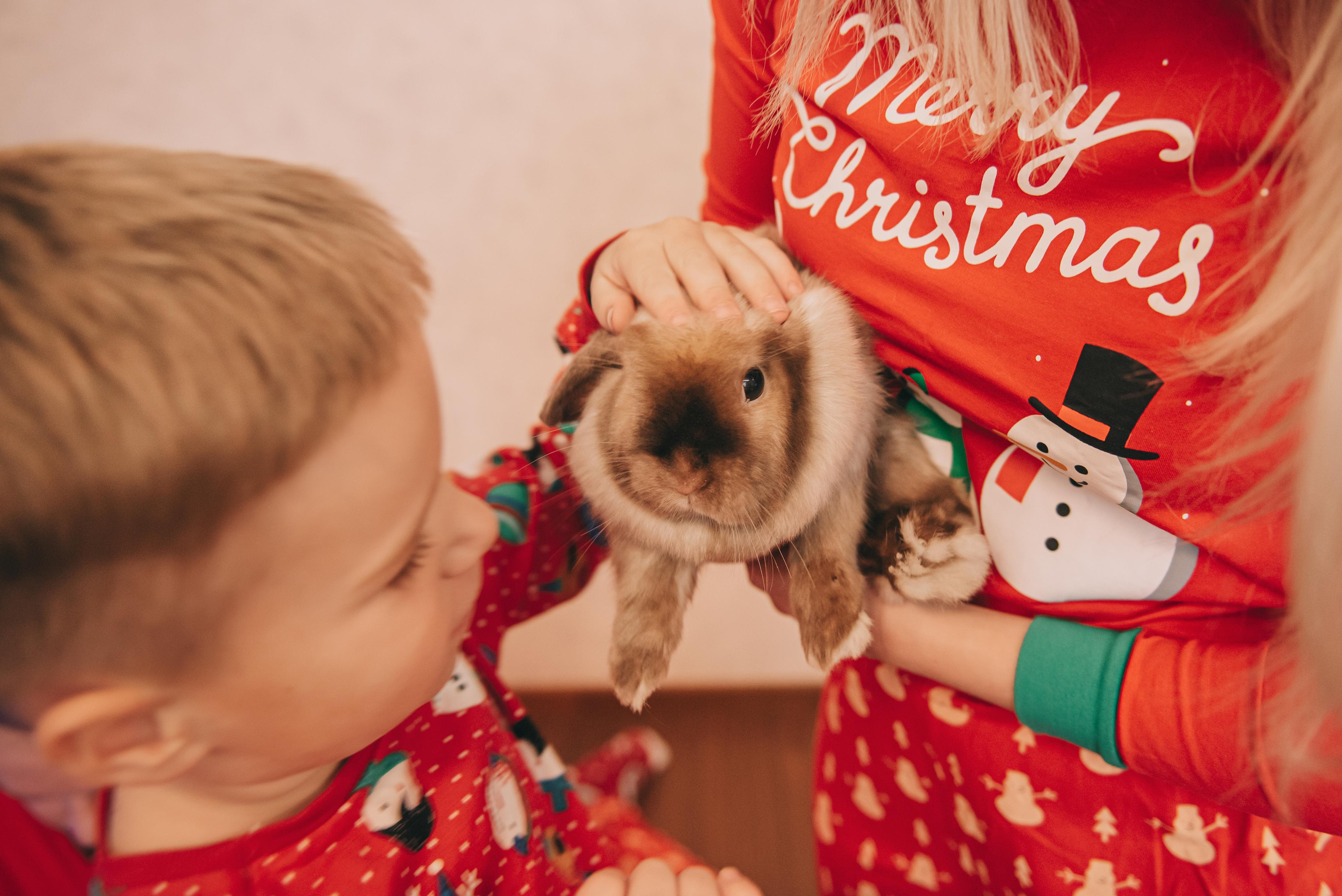 Семейная съемка Рябовых — новогодняя. Фотограф в Краснодаре Зеленкина Дарья