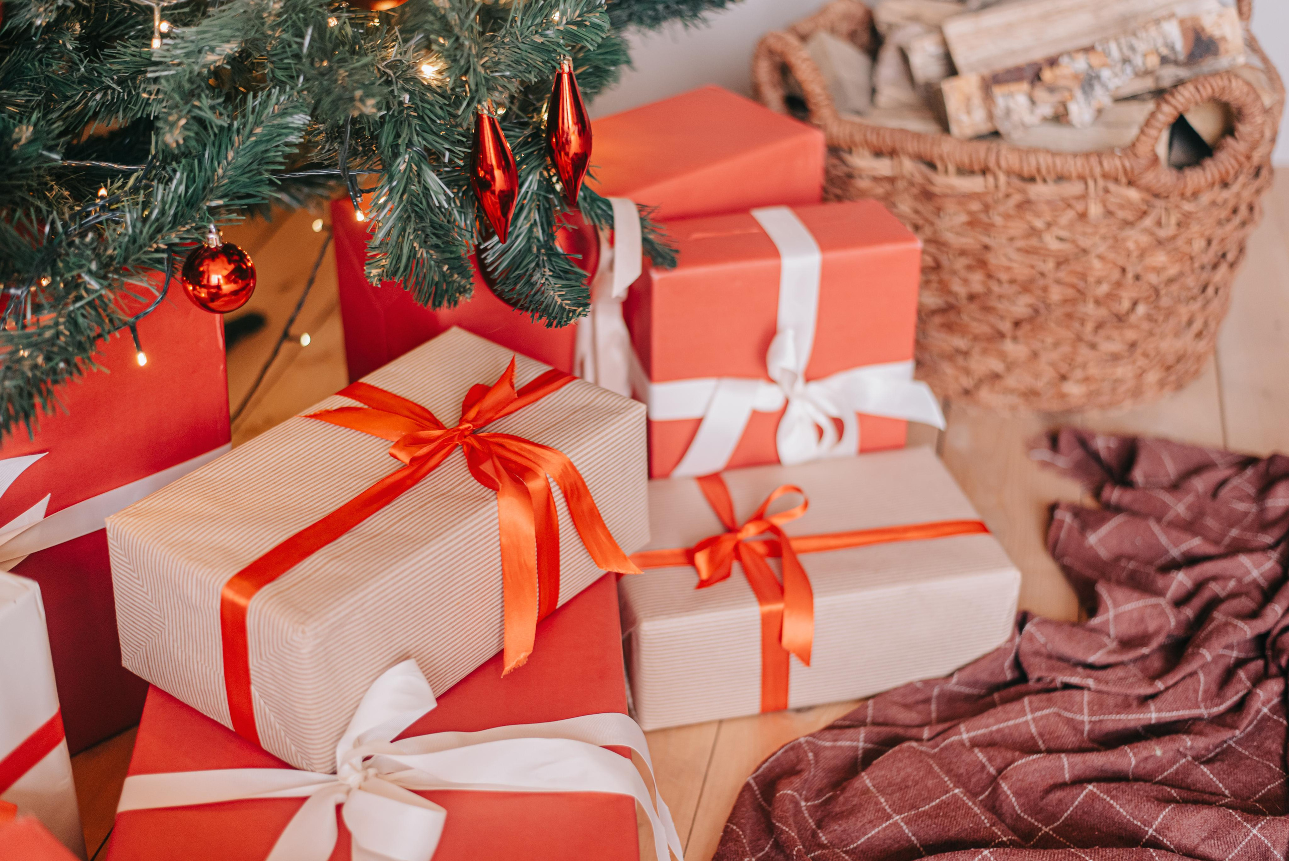 Семейная фотосъемка Васильевых. Фотограф в Краснодаре Зеленкина Дарья