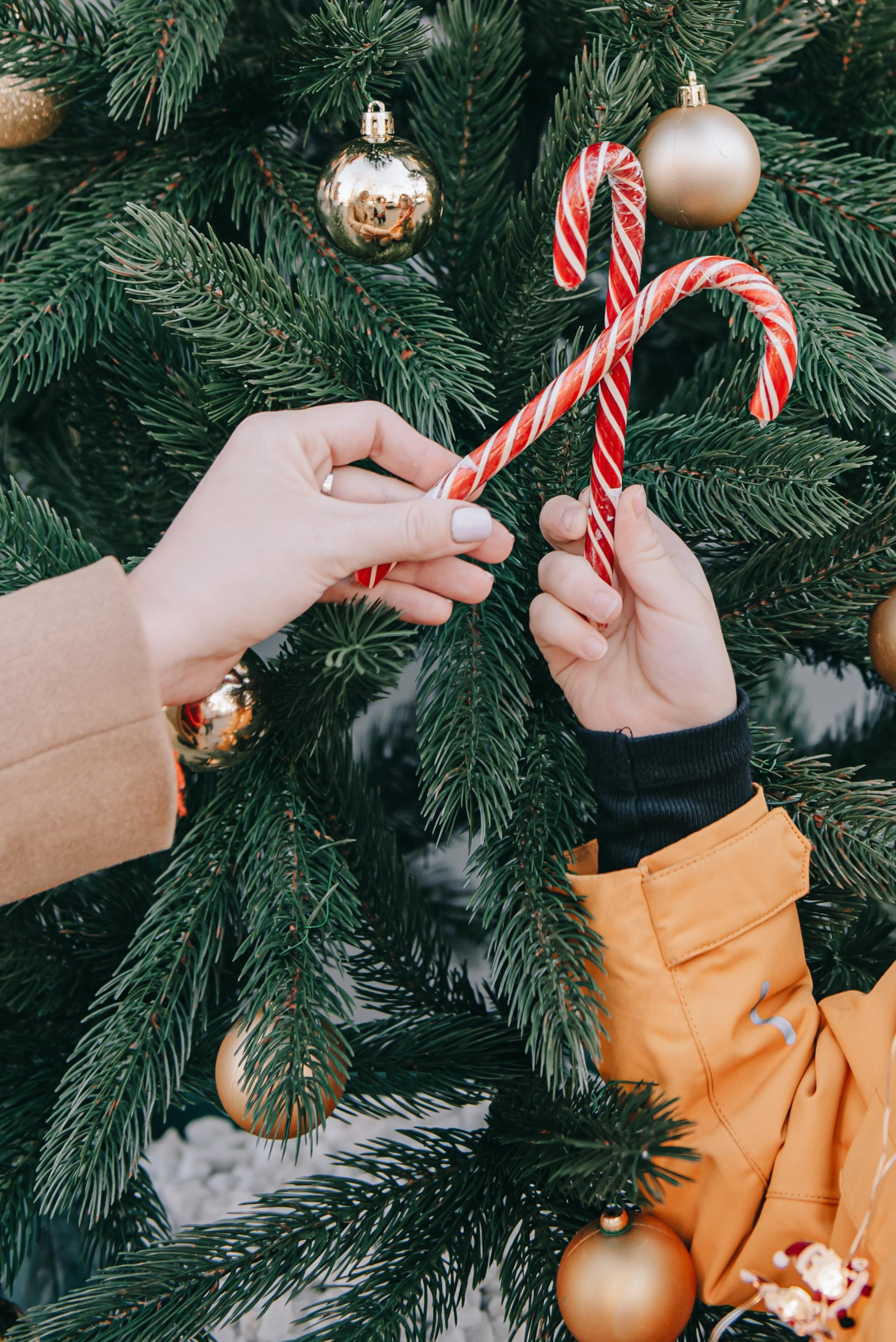 Семейная съемка Рябовых — новогодняя. Фотограф в Краснодаре Зеленкина Дарья