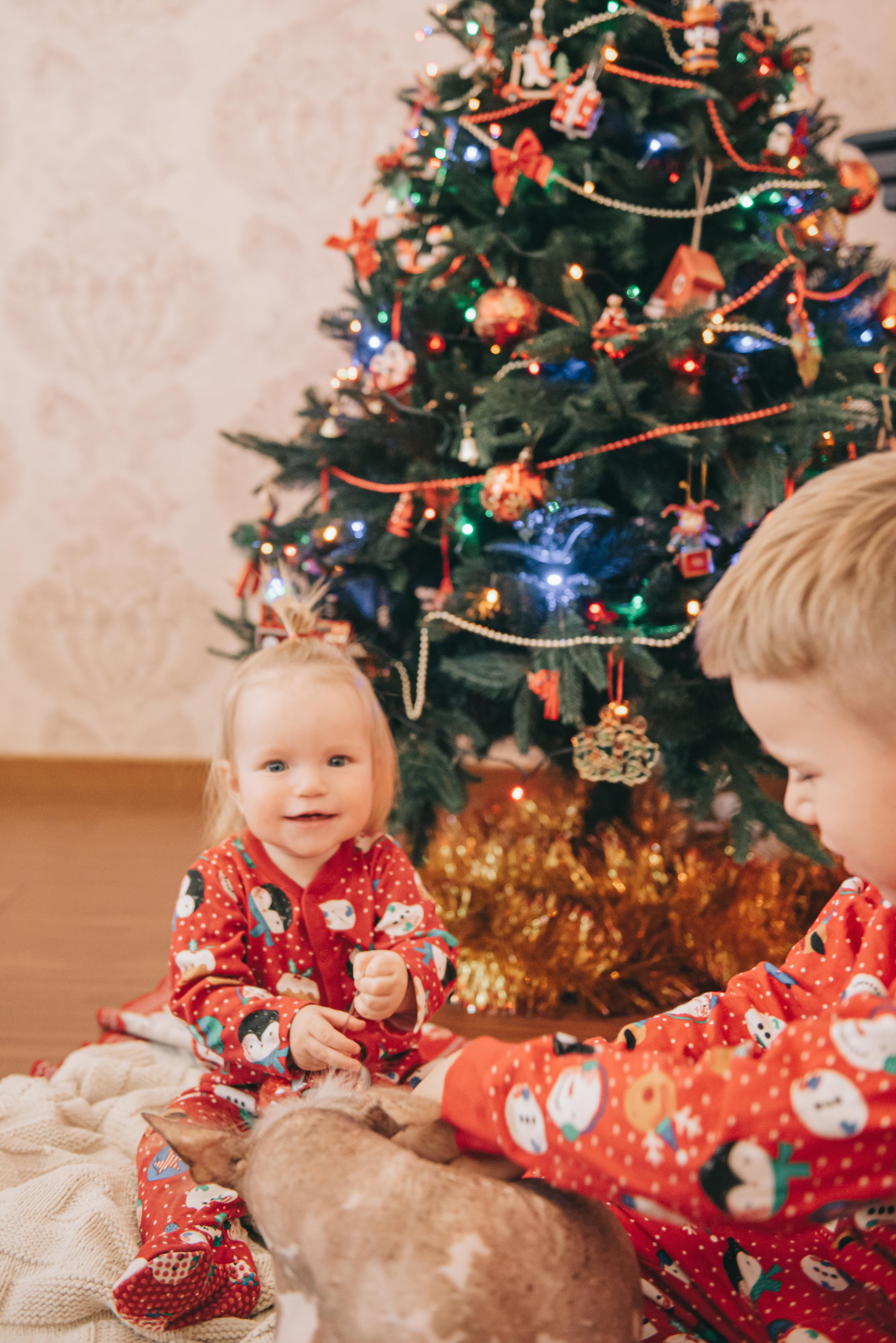 Семейная съемка Рябовых — новогодняя. Фотограф в Краснодаре Зеленкина Дарья