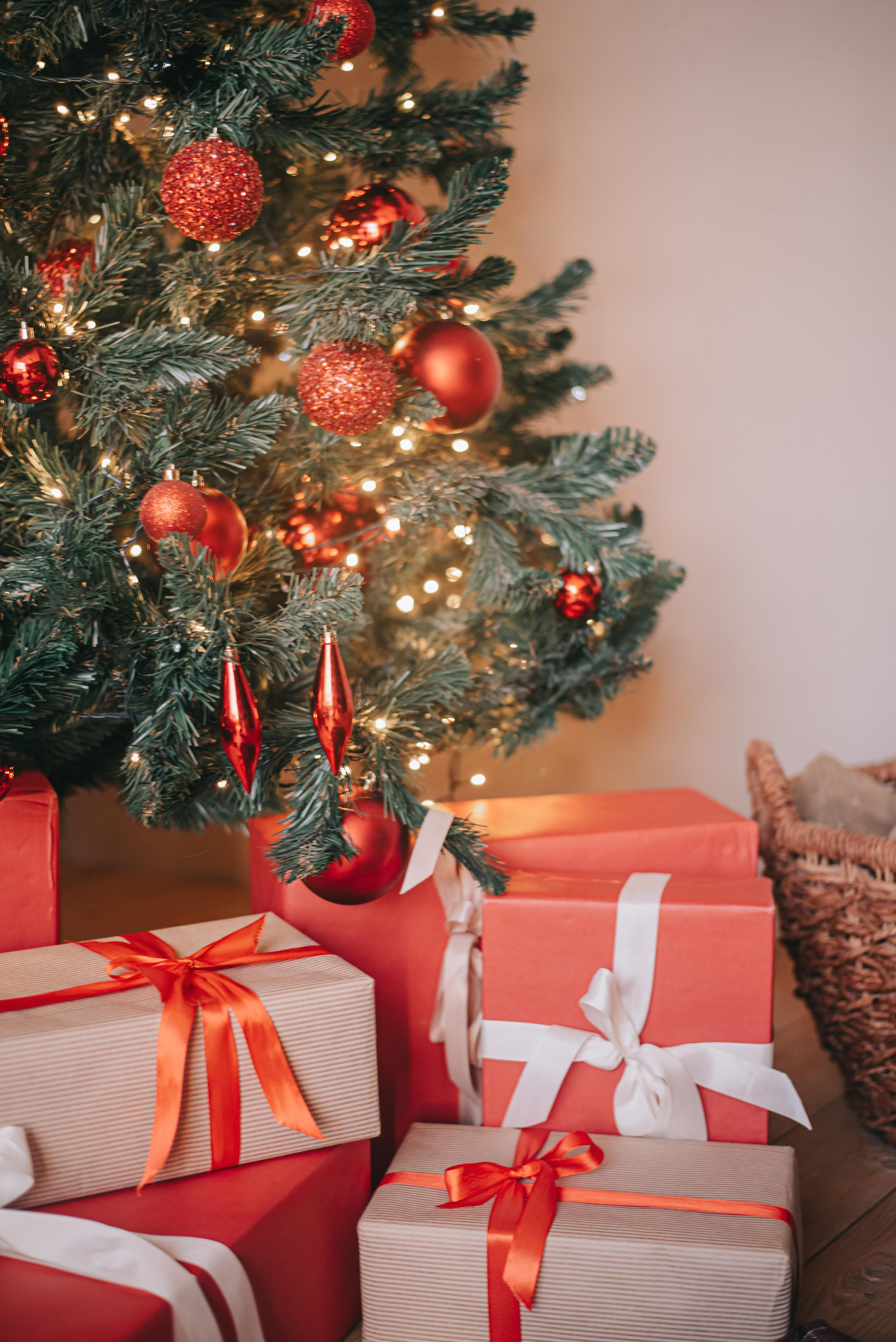 Семейная фотосъемка Васильевых. Фотограф в Краснодаре Зеленкина Дарья